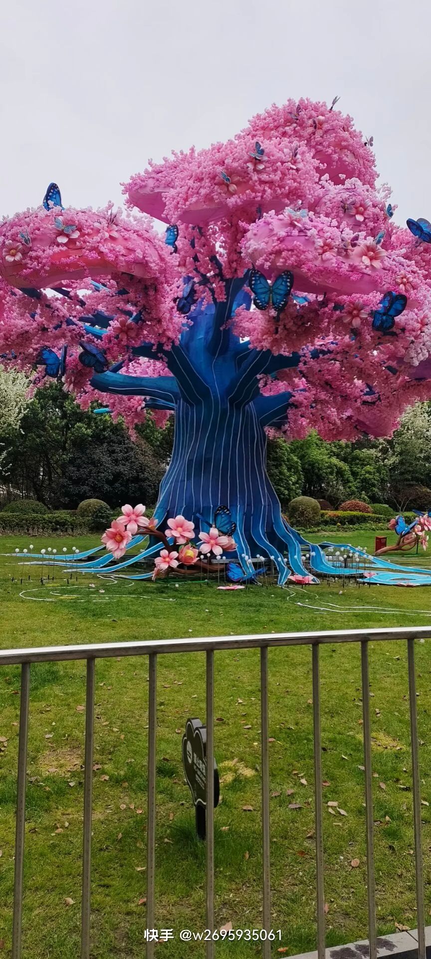 樱花园旅行图片 2