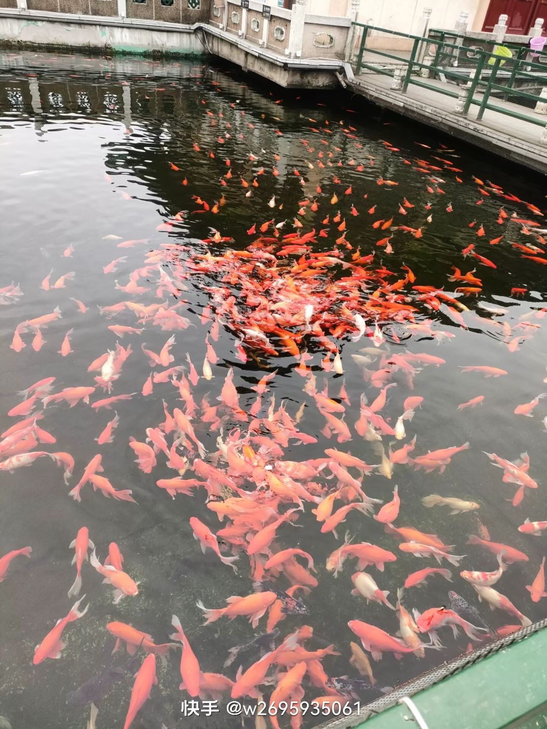 樱花园旅行图片 3