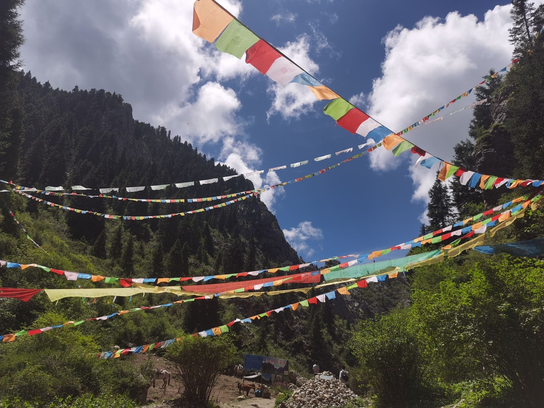 纳摩大峡谷旅行图片 1