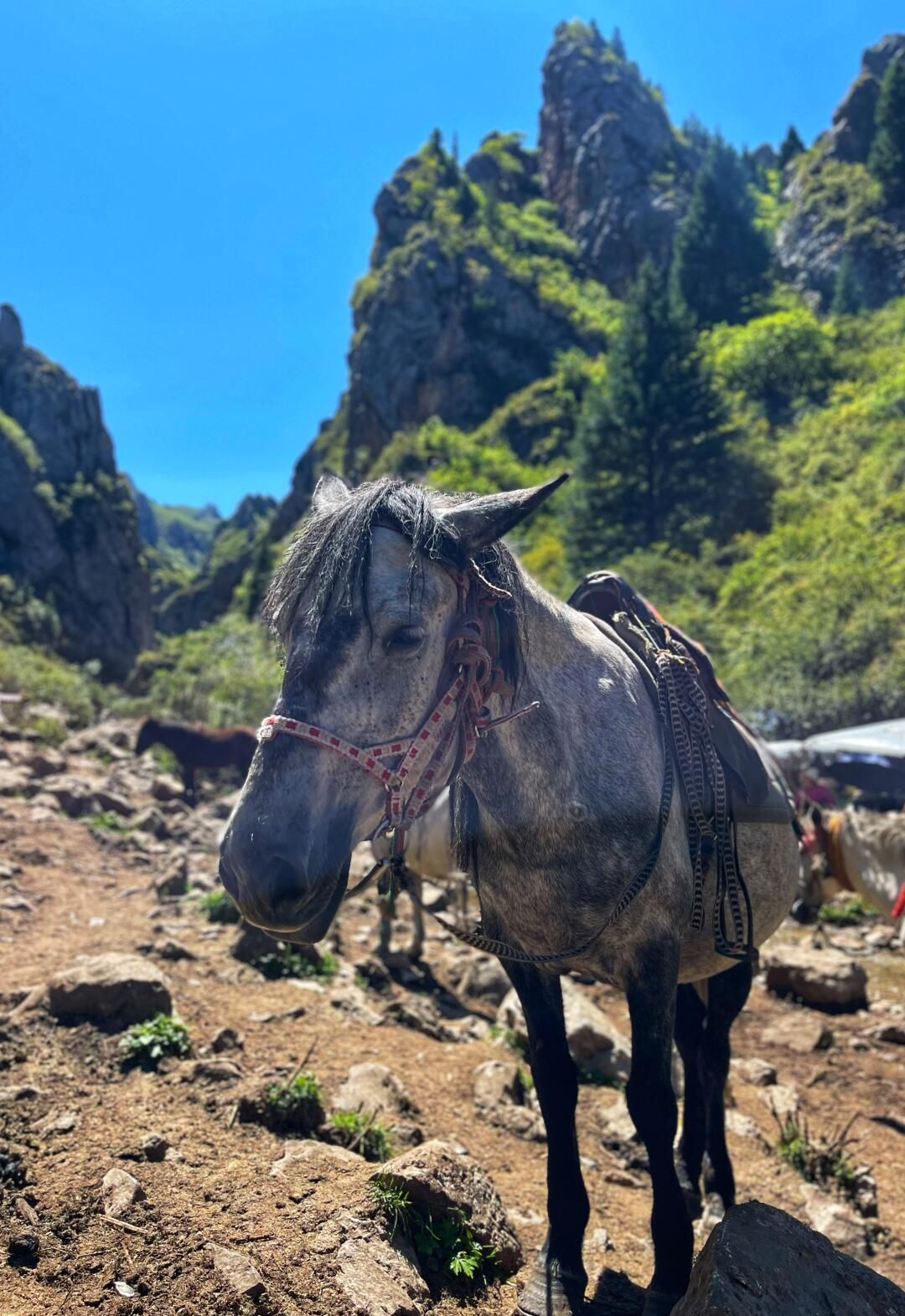 纳摩大峡谷旅行图片 3