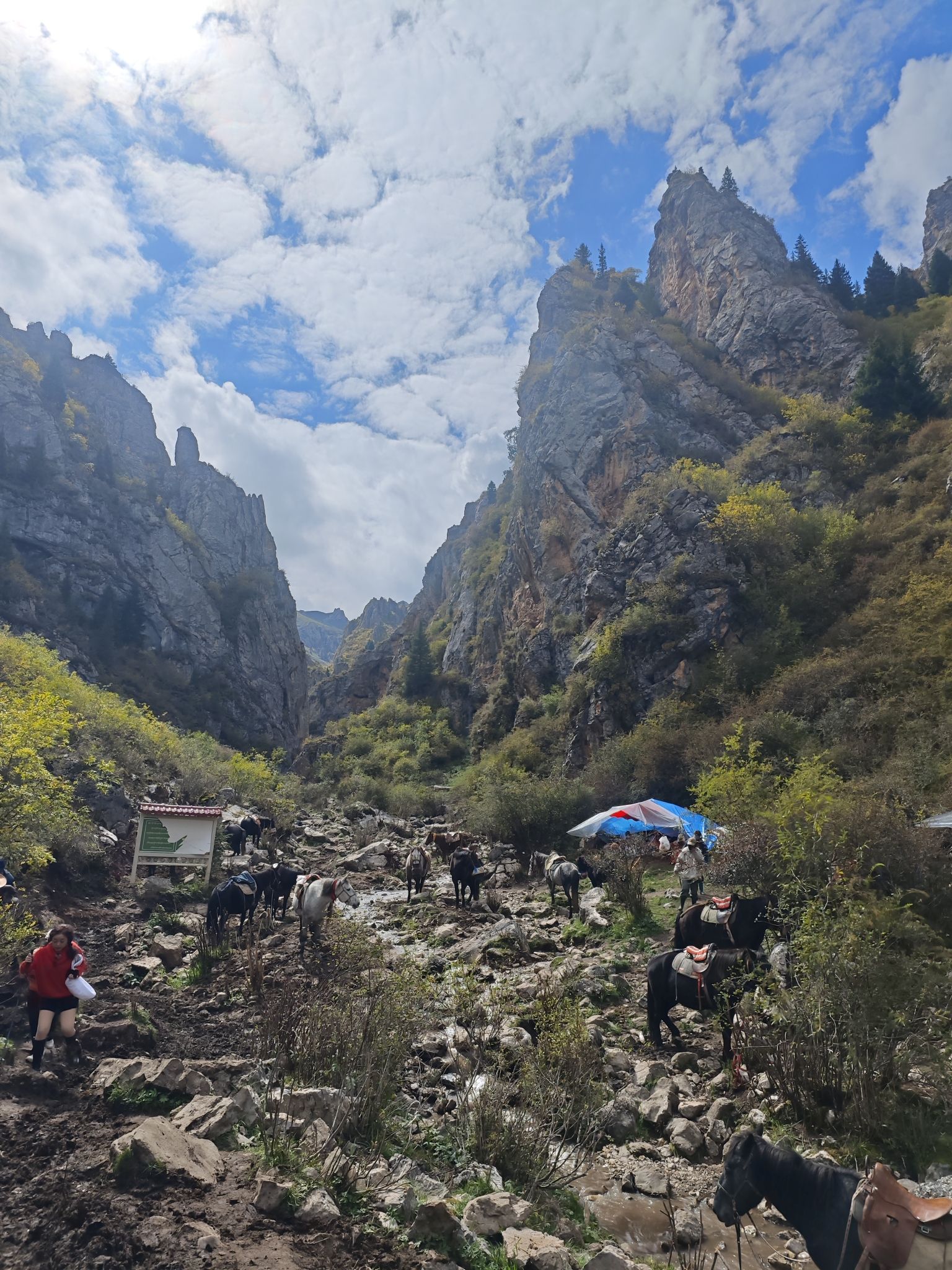 纳摩大峡谷旅行图片 3