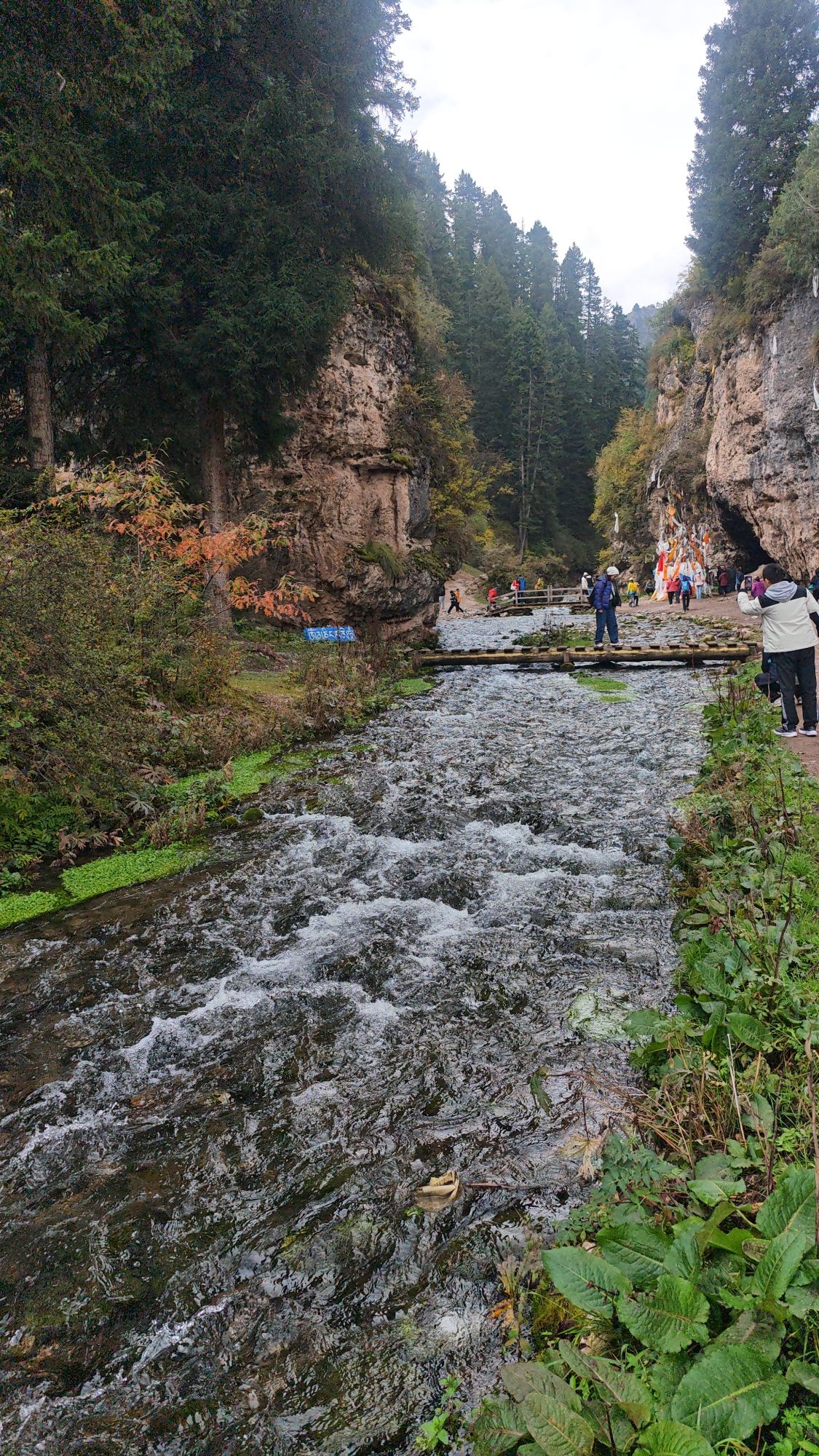 纳摩大峡谷旅行图片 1