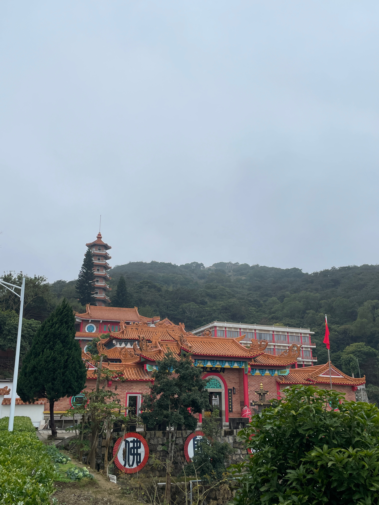 金针宝塔旅行图片 1
