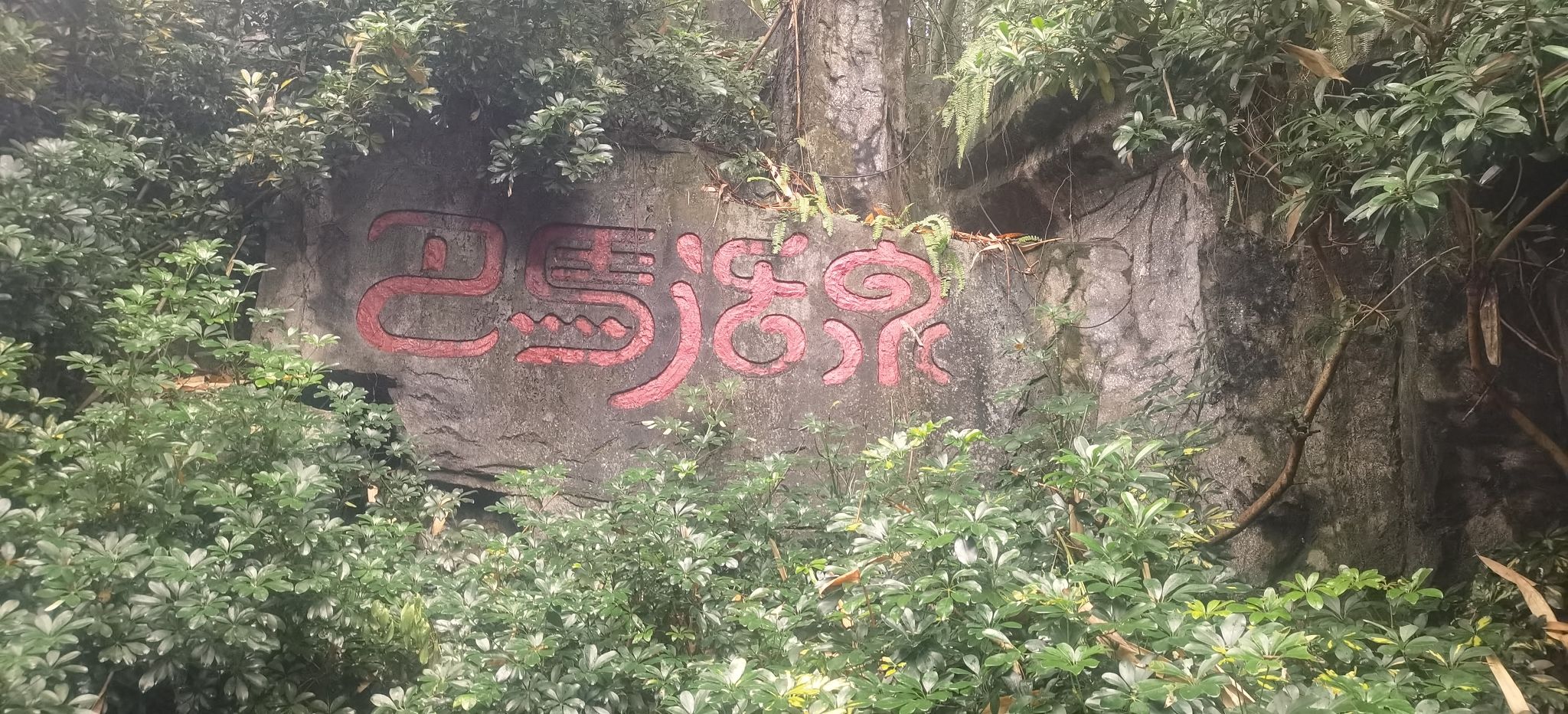 巴马活泉景区旅行图片 3