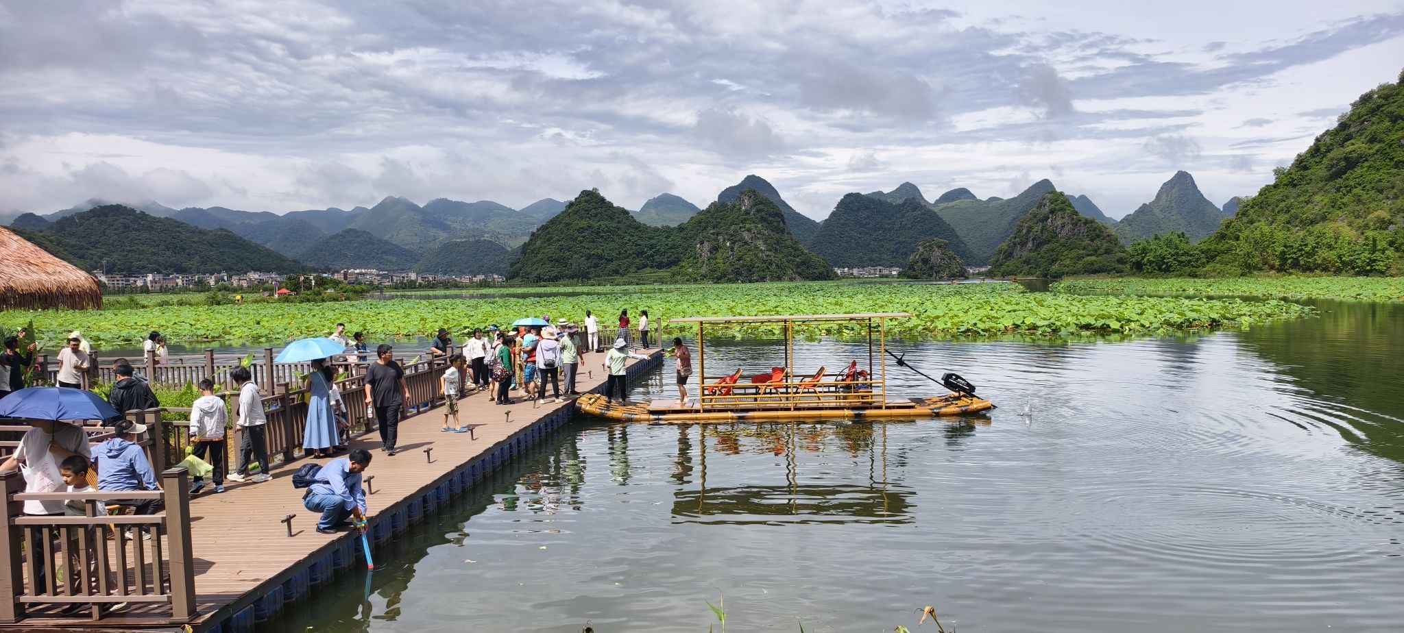 普者黑风景区-西荒湿地