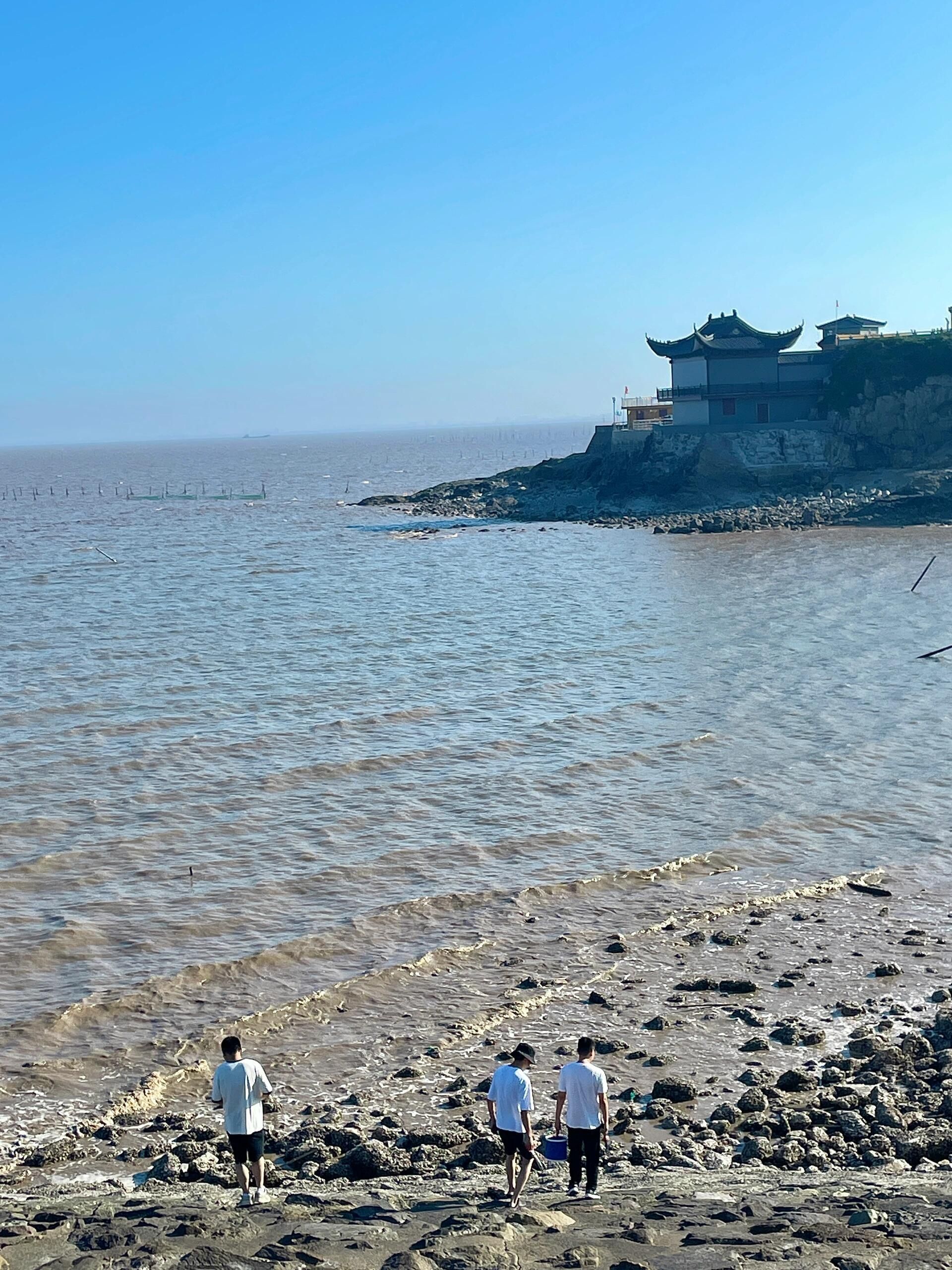 白沙湾沙滩旅行图片 1