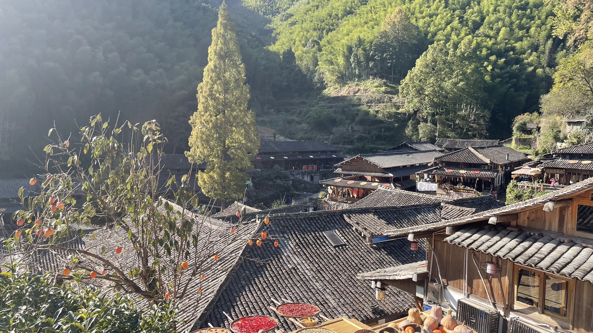 暨家寨暨驿人家旅行图片 1
