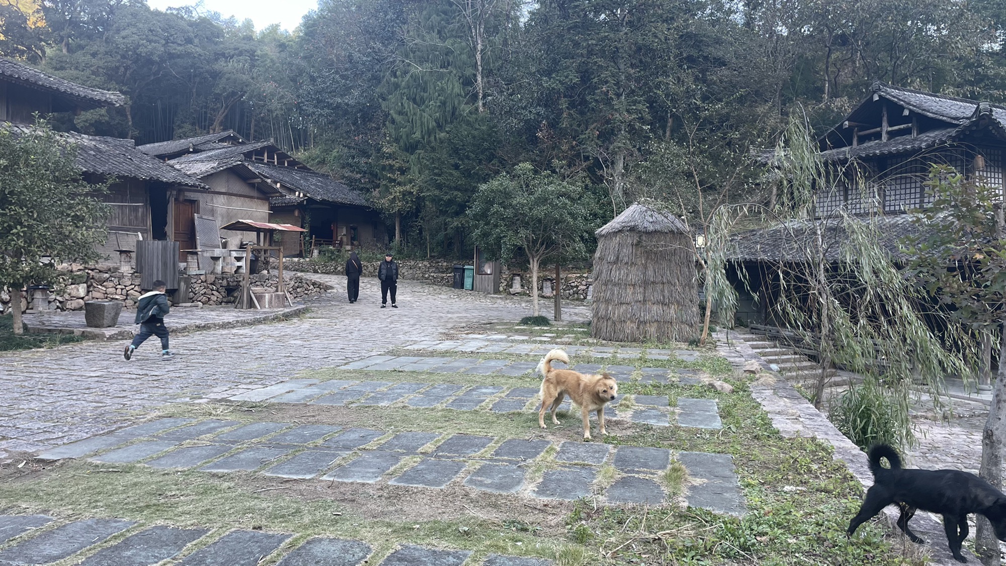 暨家寨暨驿人家旅行图片 3