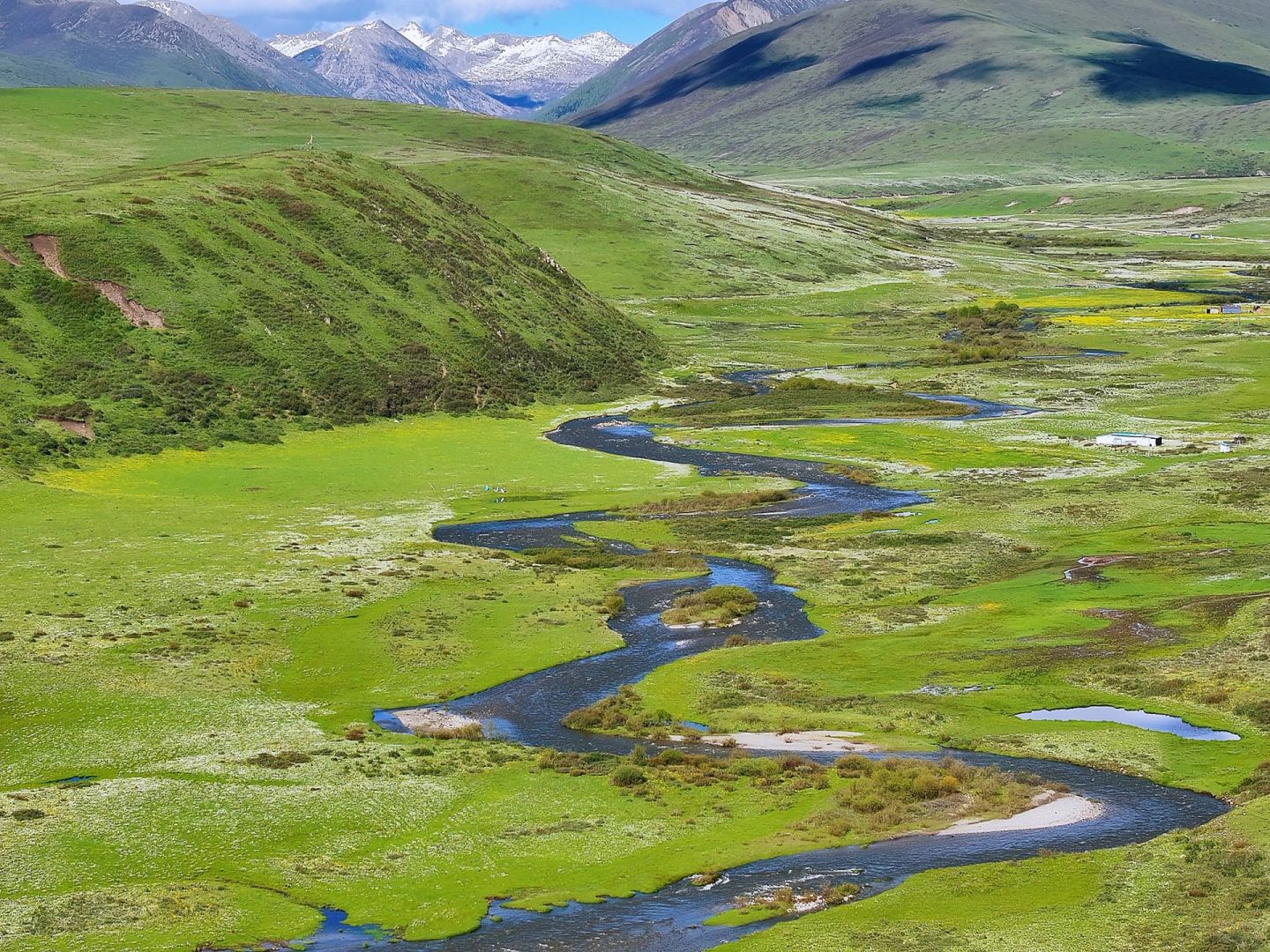 俄么塘·花海景区(暂停开放)旅行图片 1