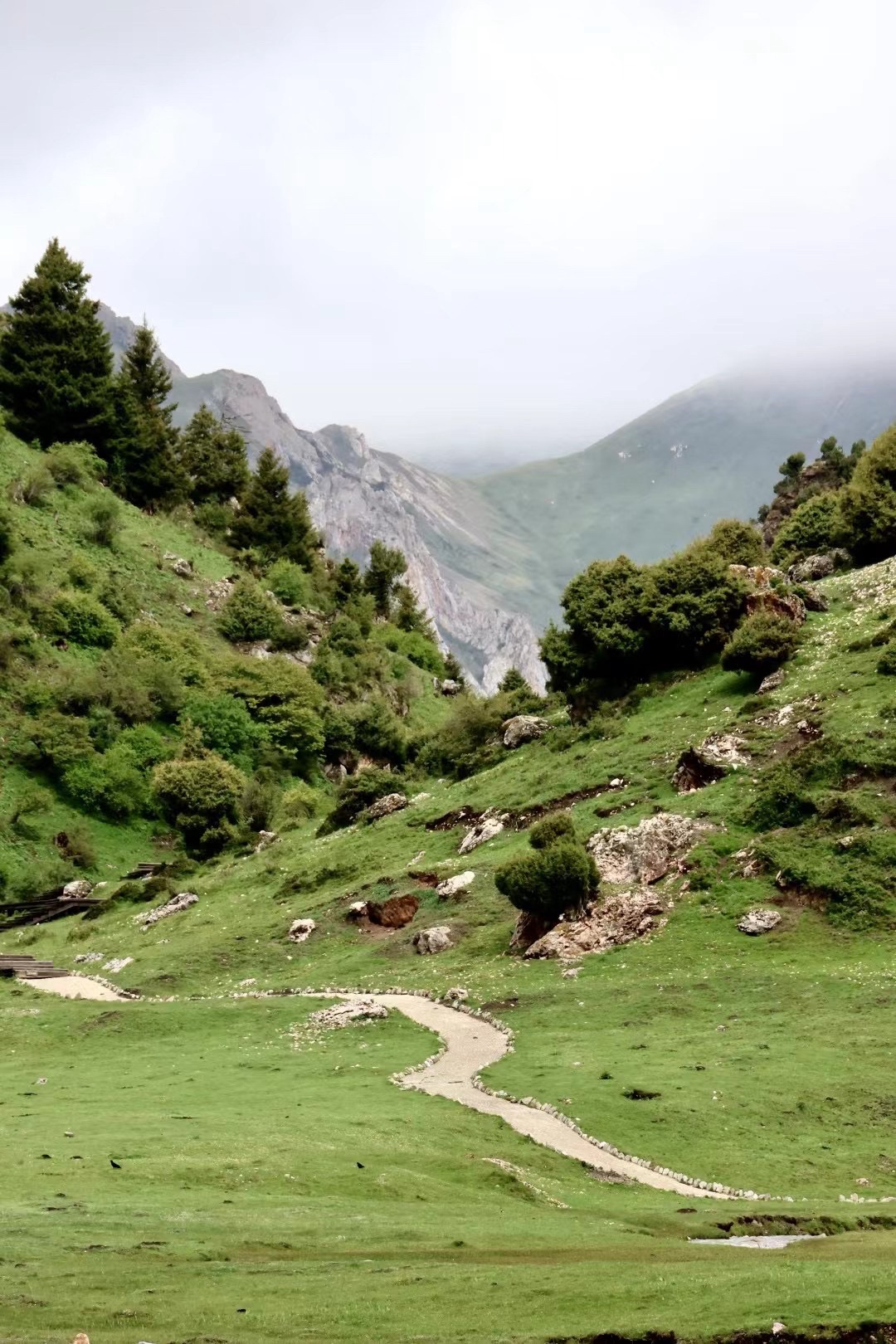 俄么塘·花海景区(暂停开放)旅行图片 3