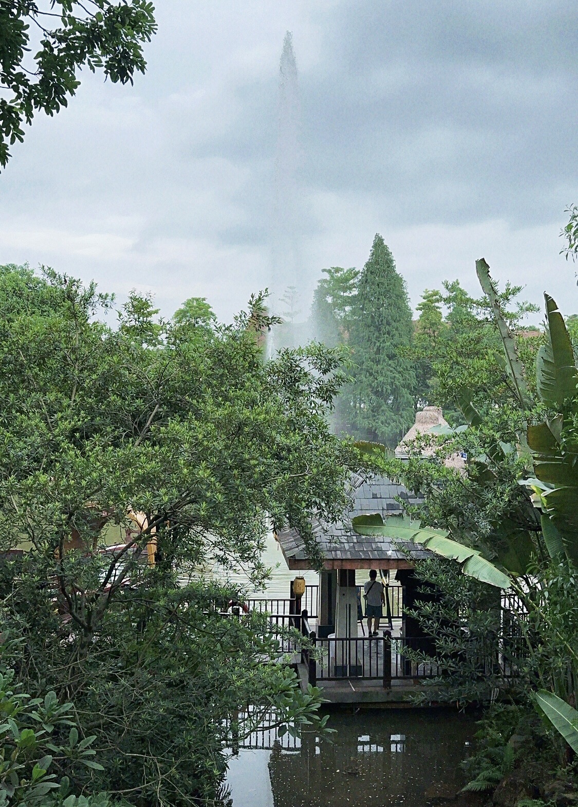 佛山鹭湖森林度假区旅行图片 3