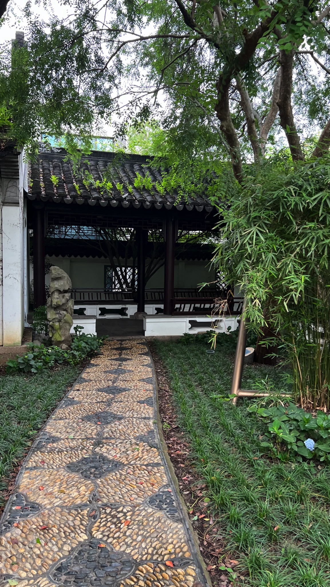 思鲈园旅行图片 3