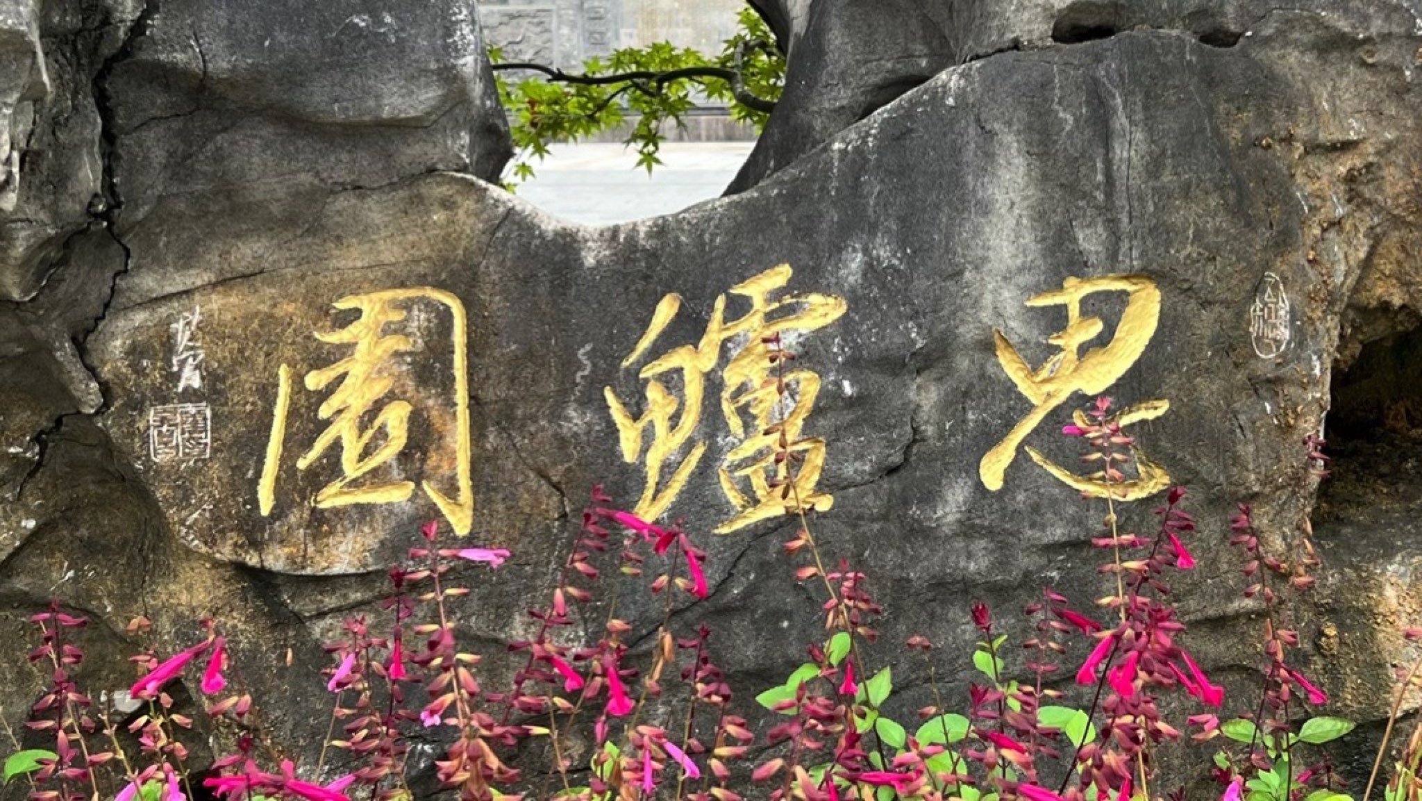 思鲈园旅行图片 1