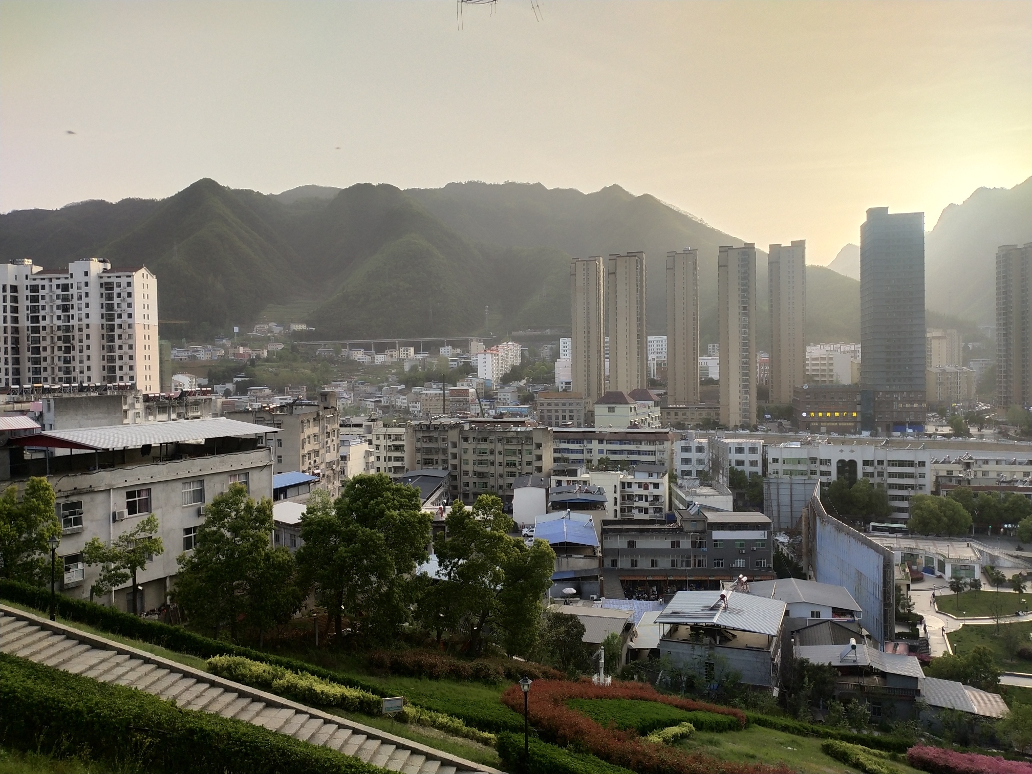 紫薇广场旅行图片 3