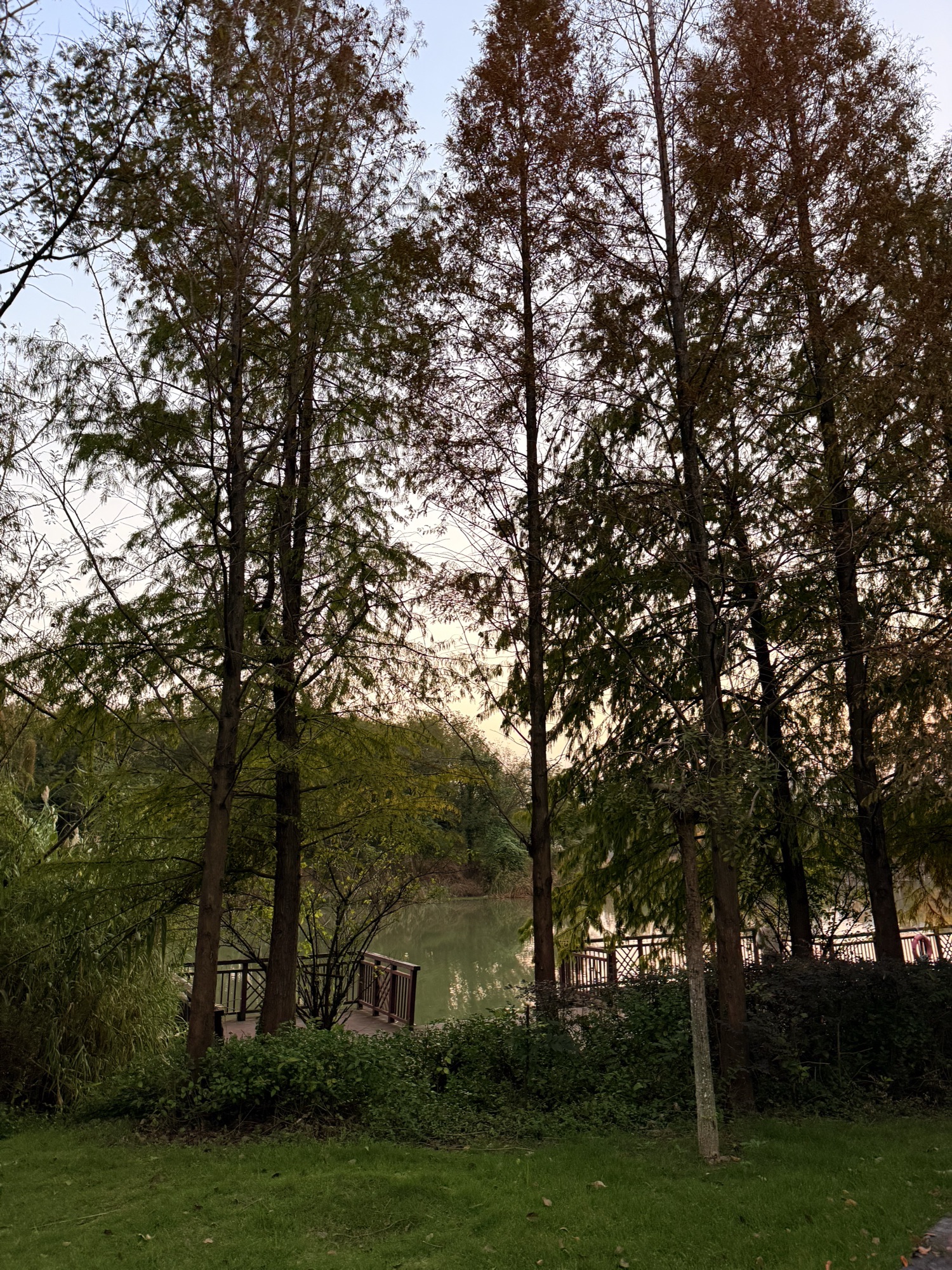 慈溪市森林公园旅行图片 3