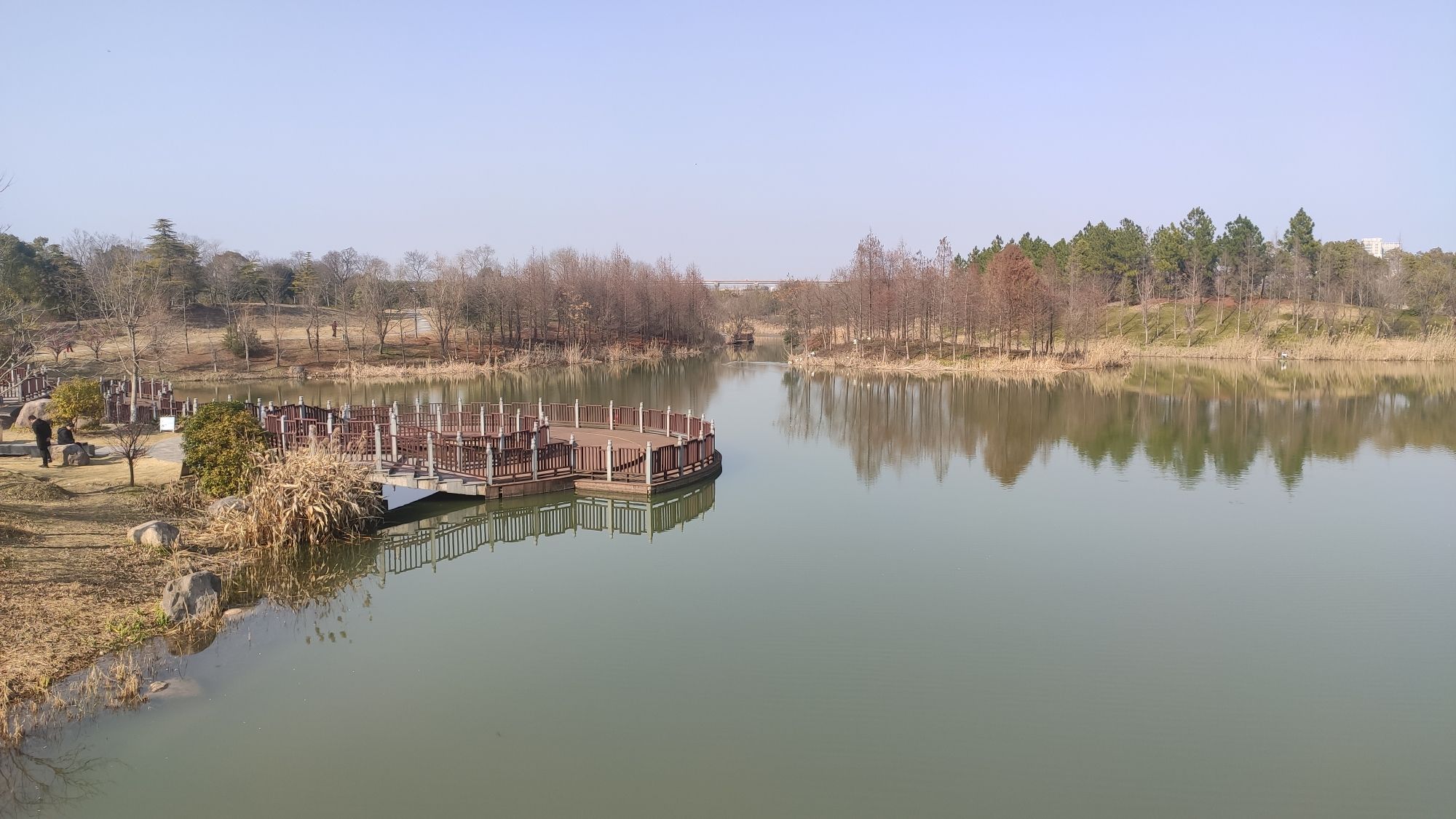 慈溪市森林公园旅行图片 1
