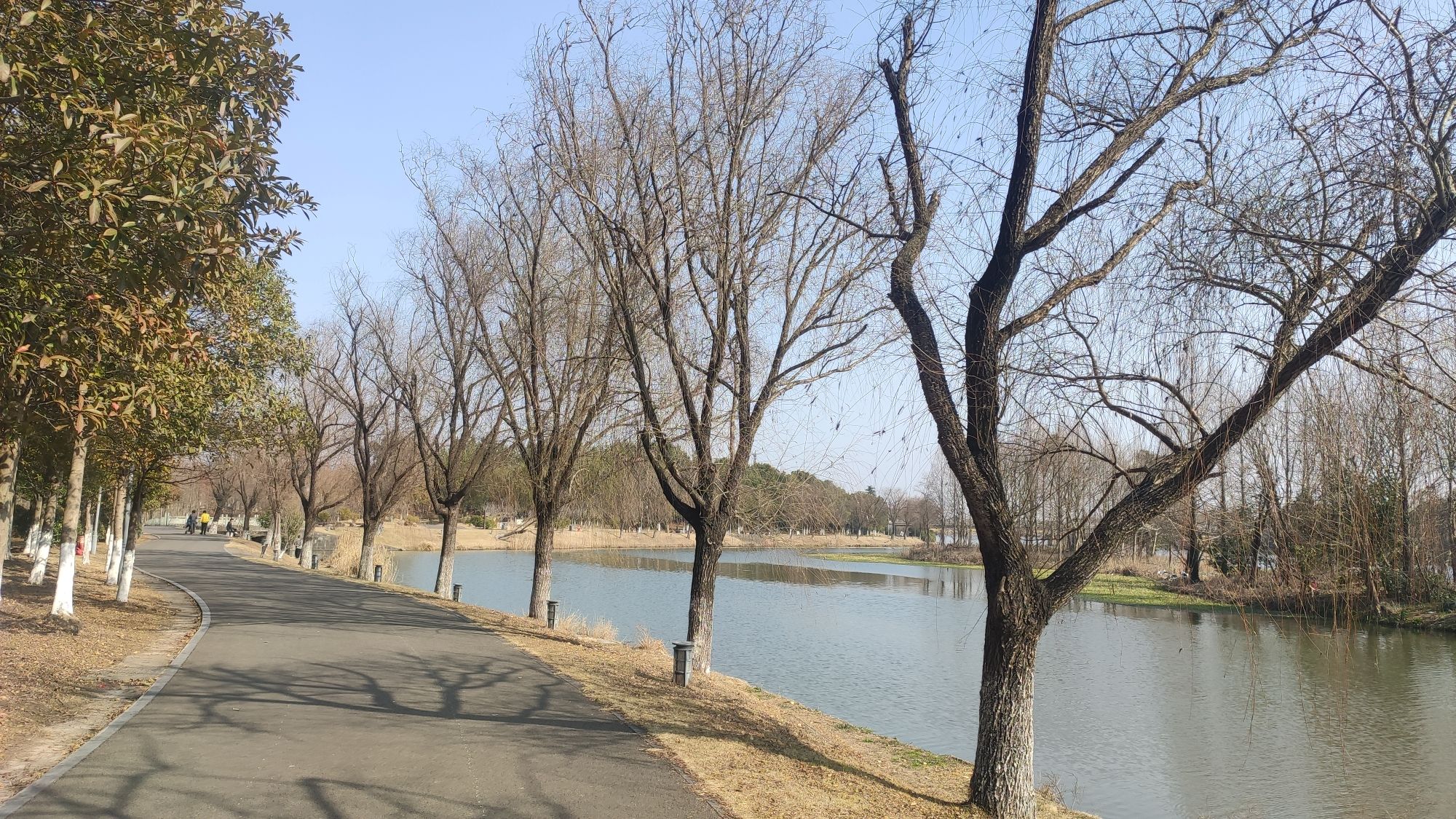 慈溪市森林公园旅行图片 3