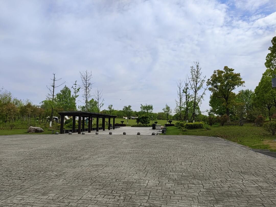 慈溪市森林公园旅行图片 3