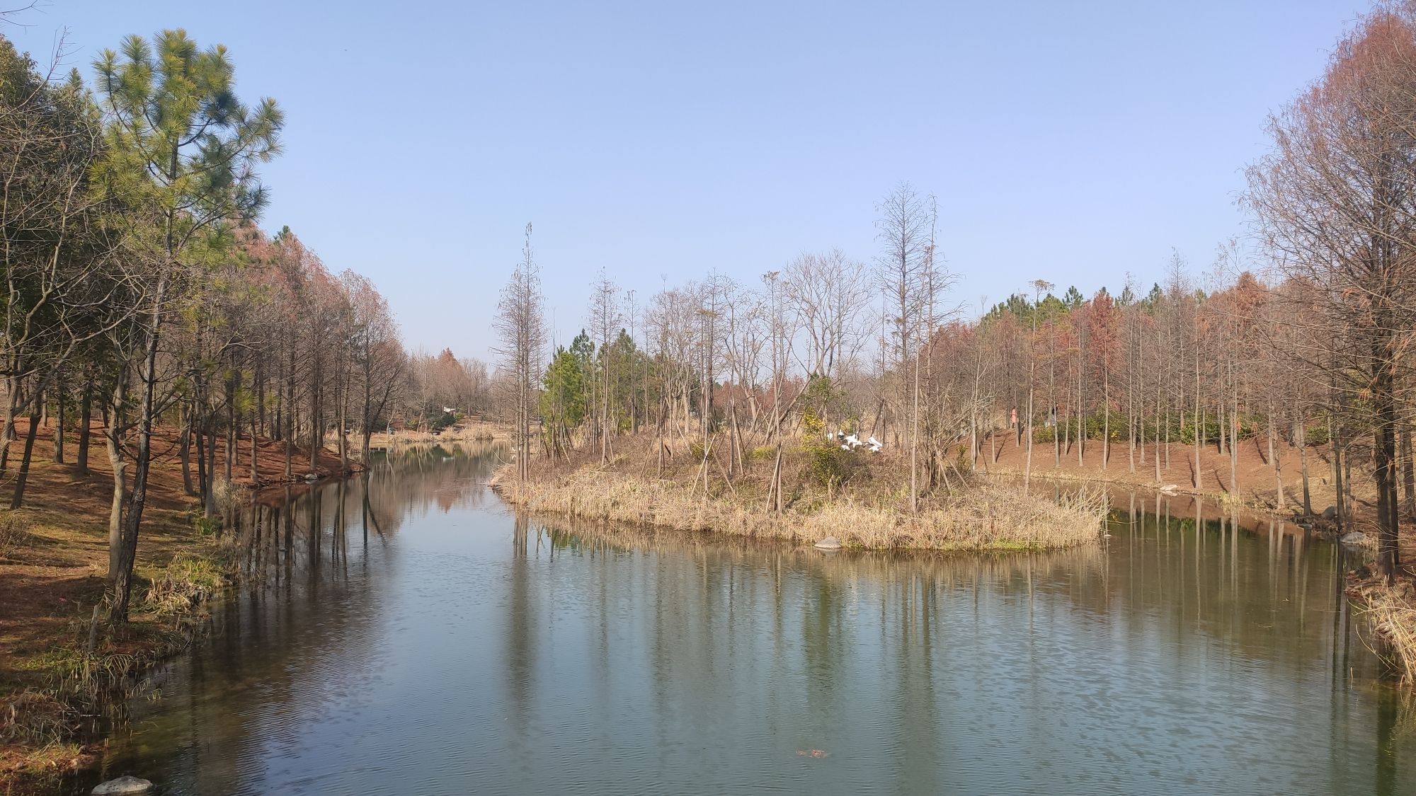 慈溪市森林公园旅行图片 2