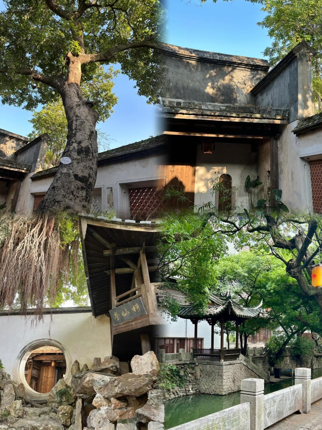 福建省沈绍安漆艺博物馆旅行图片 3