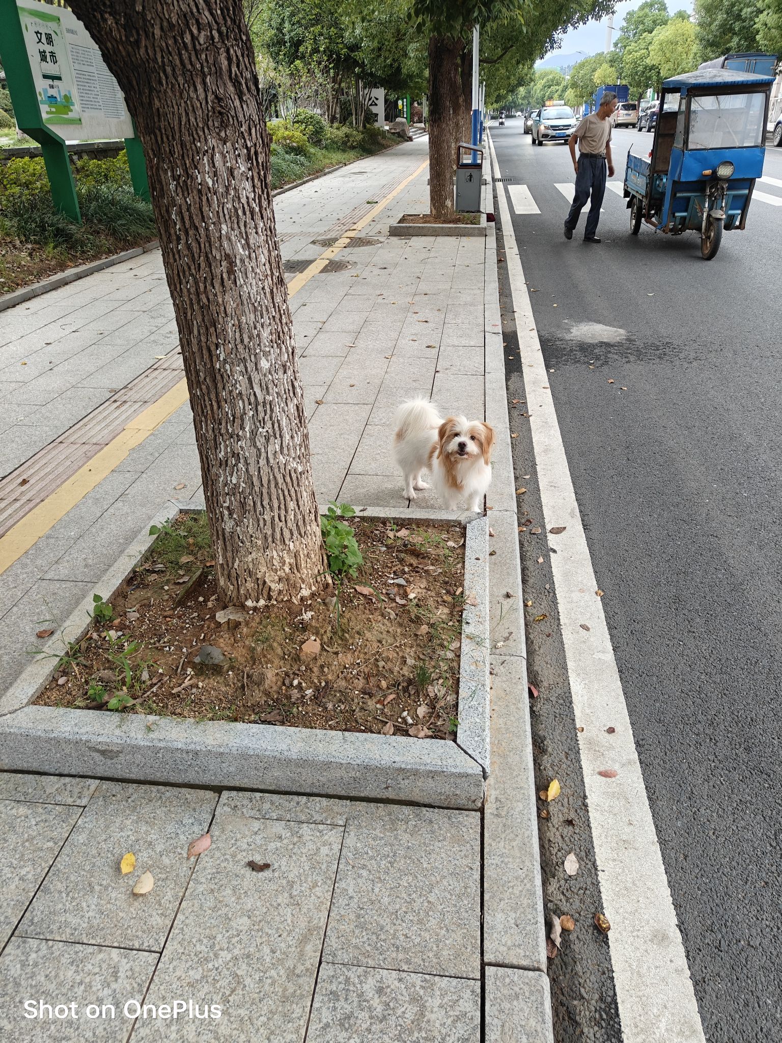 中滩公园旅行图片 1