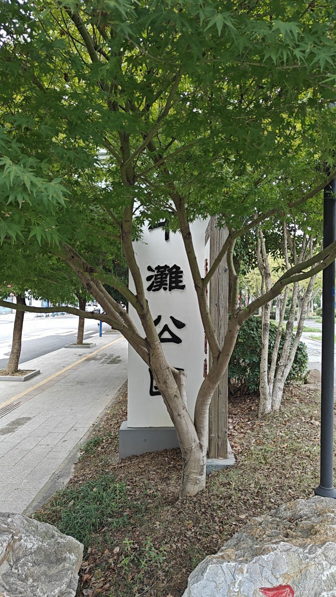 中滩公园旅行图片 3