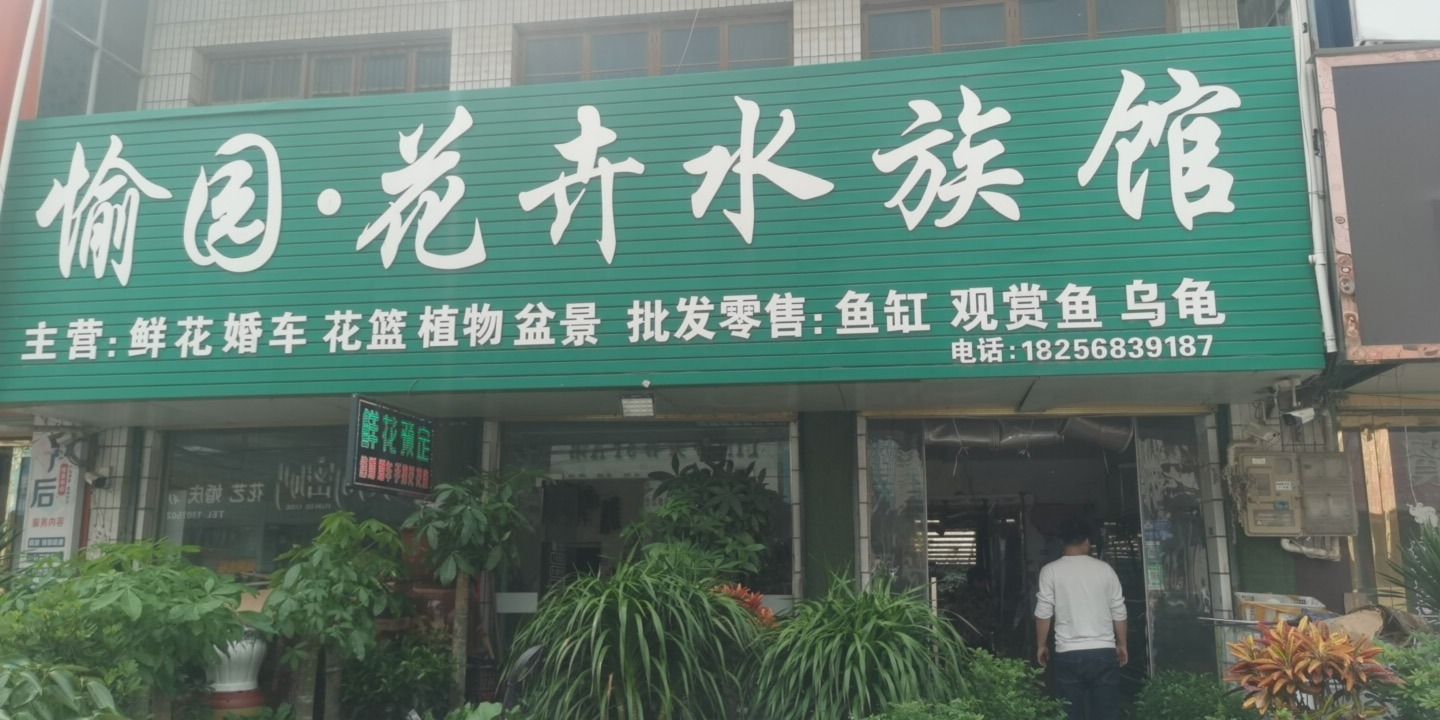 花卉水族馆