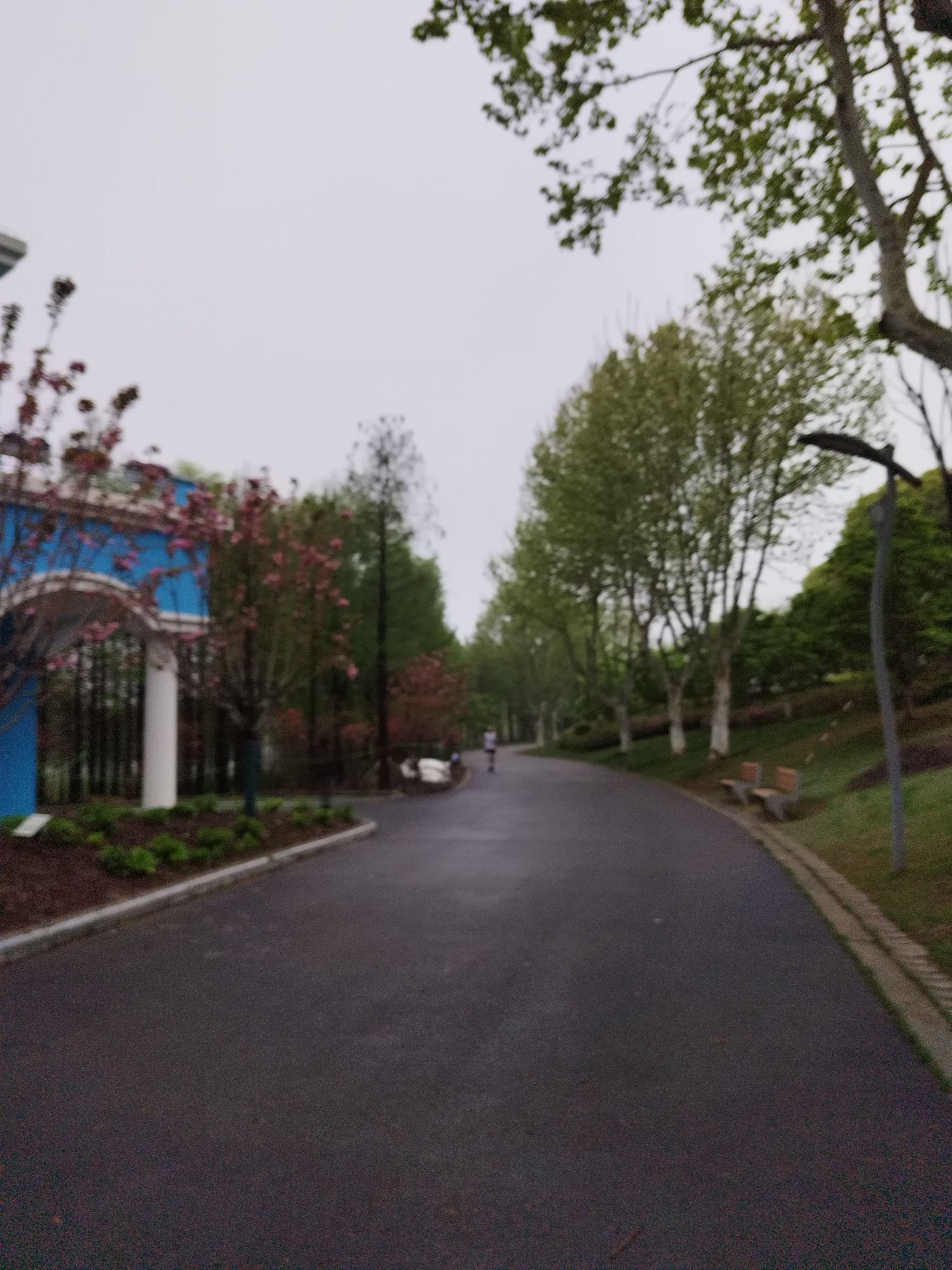 上海闵行文化公园旅行图片 2