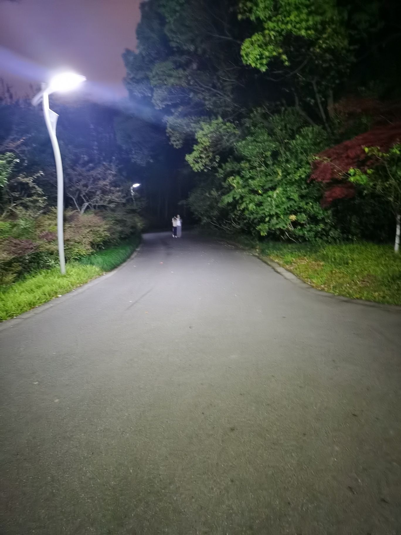 上海闵行文化公园旅行图片 2