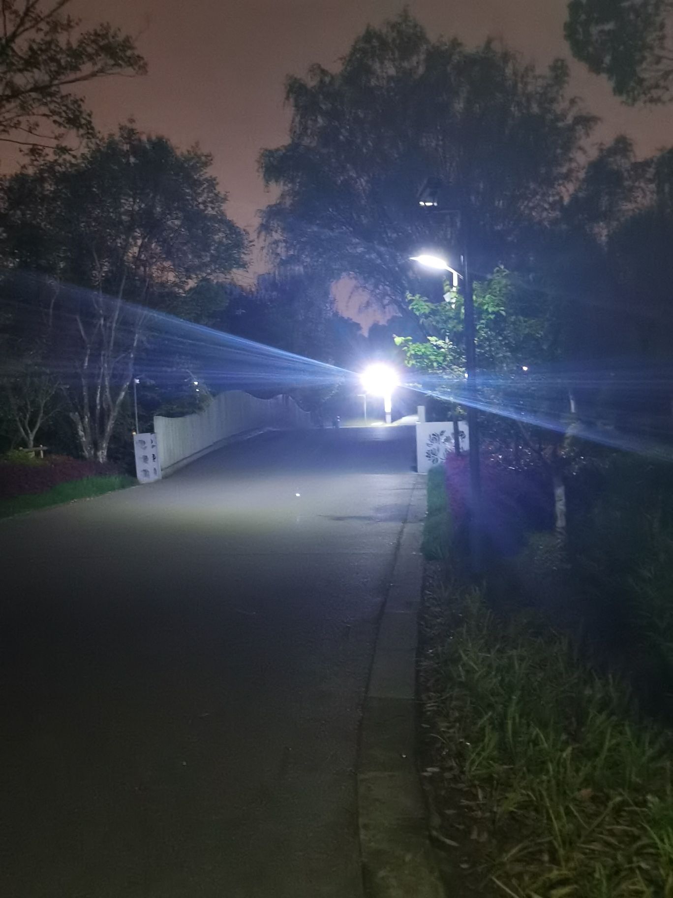上海闵行文化公园旅行图片 1