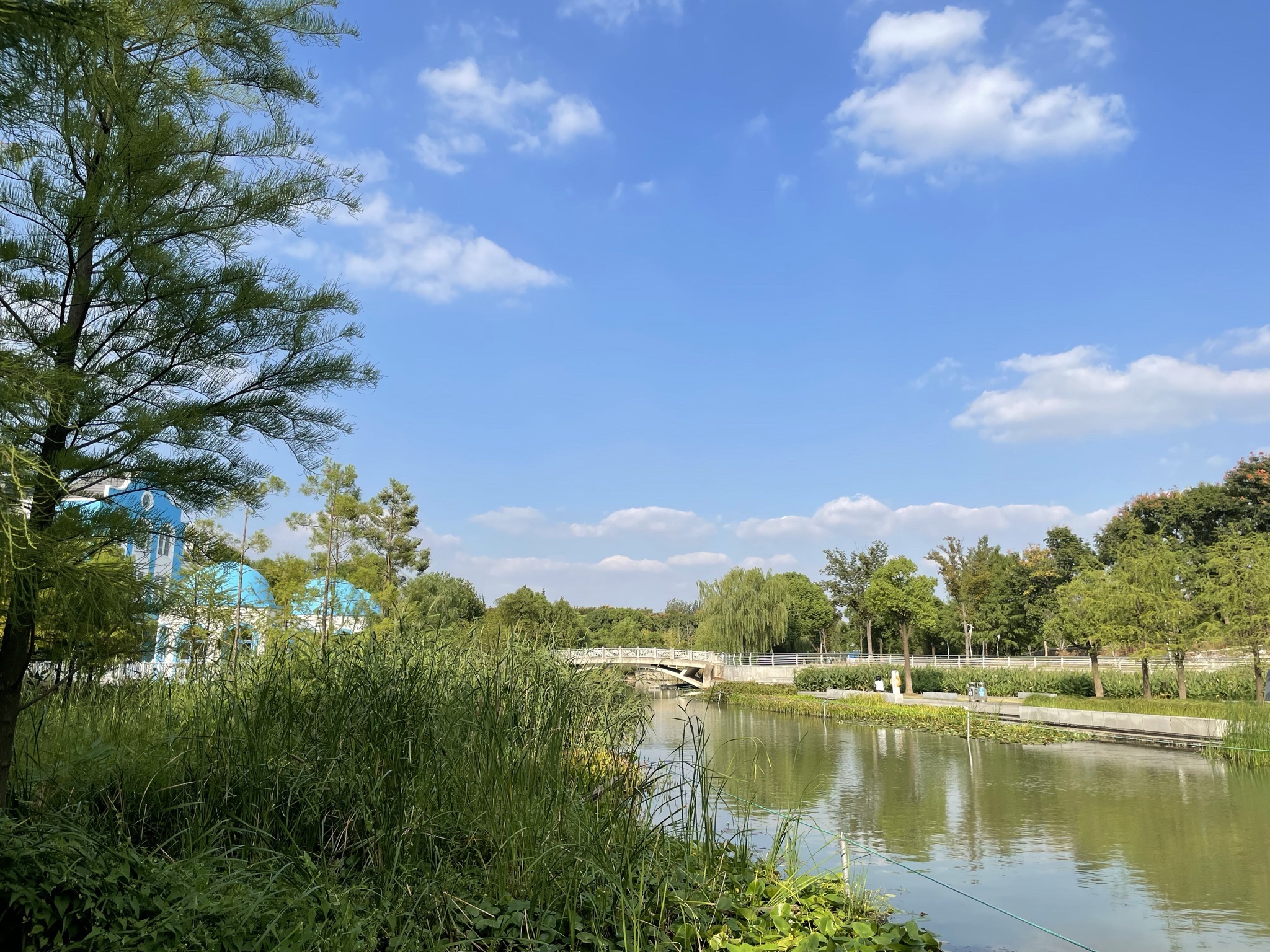 上海闵行文化公园旅行图片 3