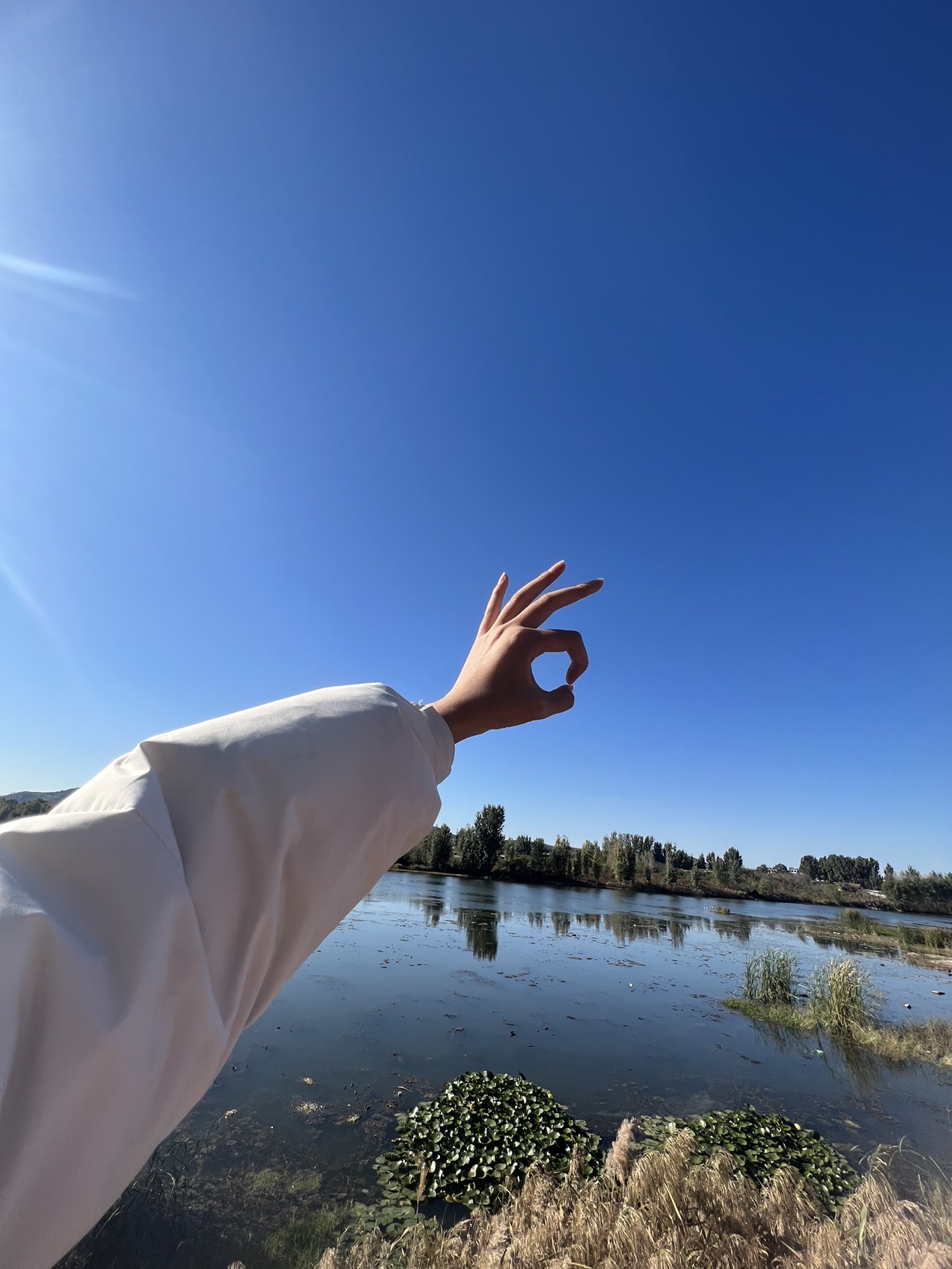汶河国家湿地旅行图片 1