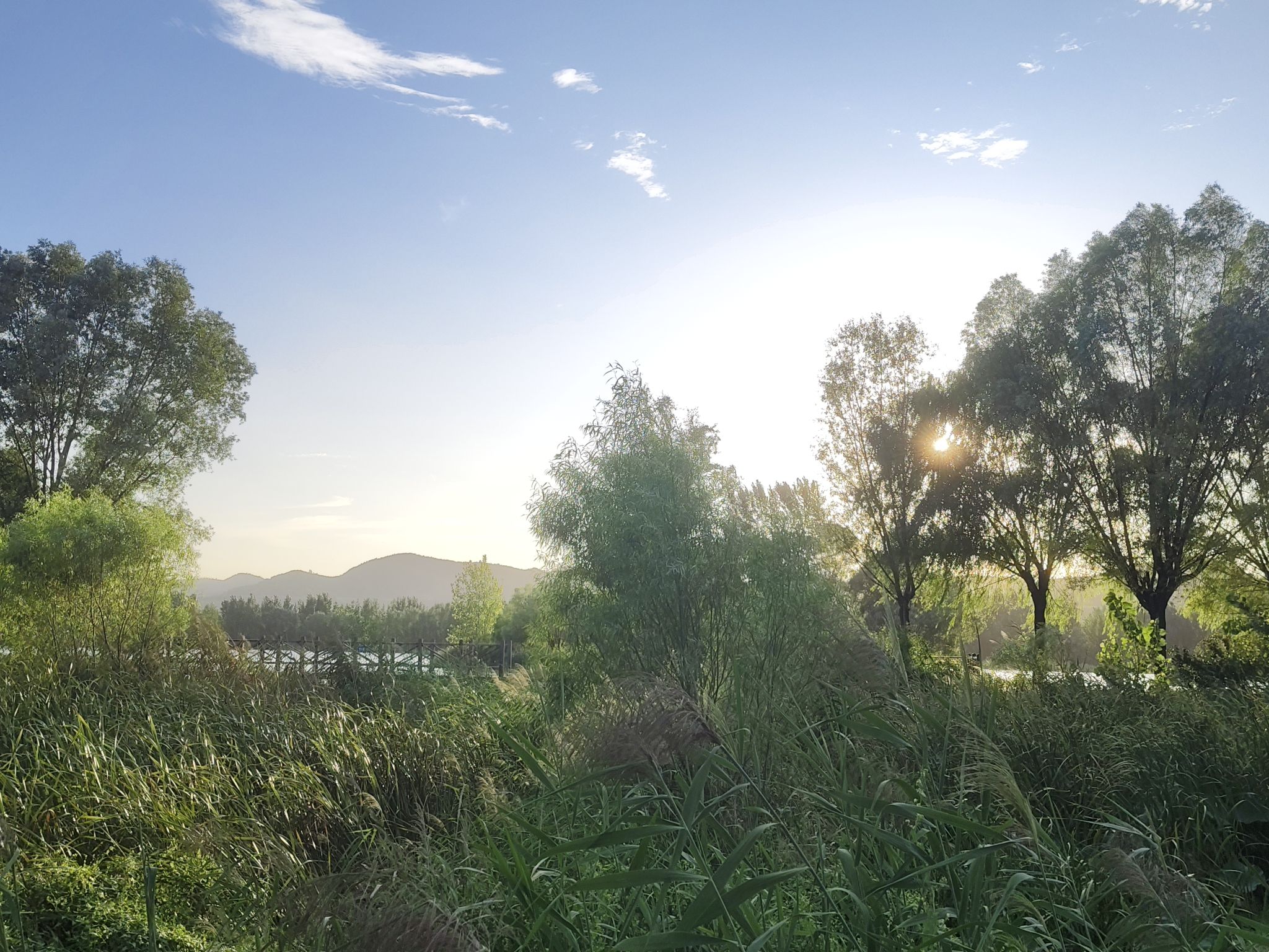 汶河国家湿地旅行图片 3