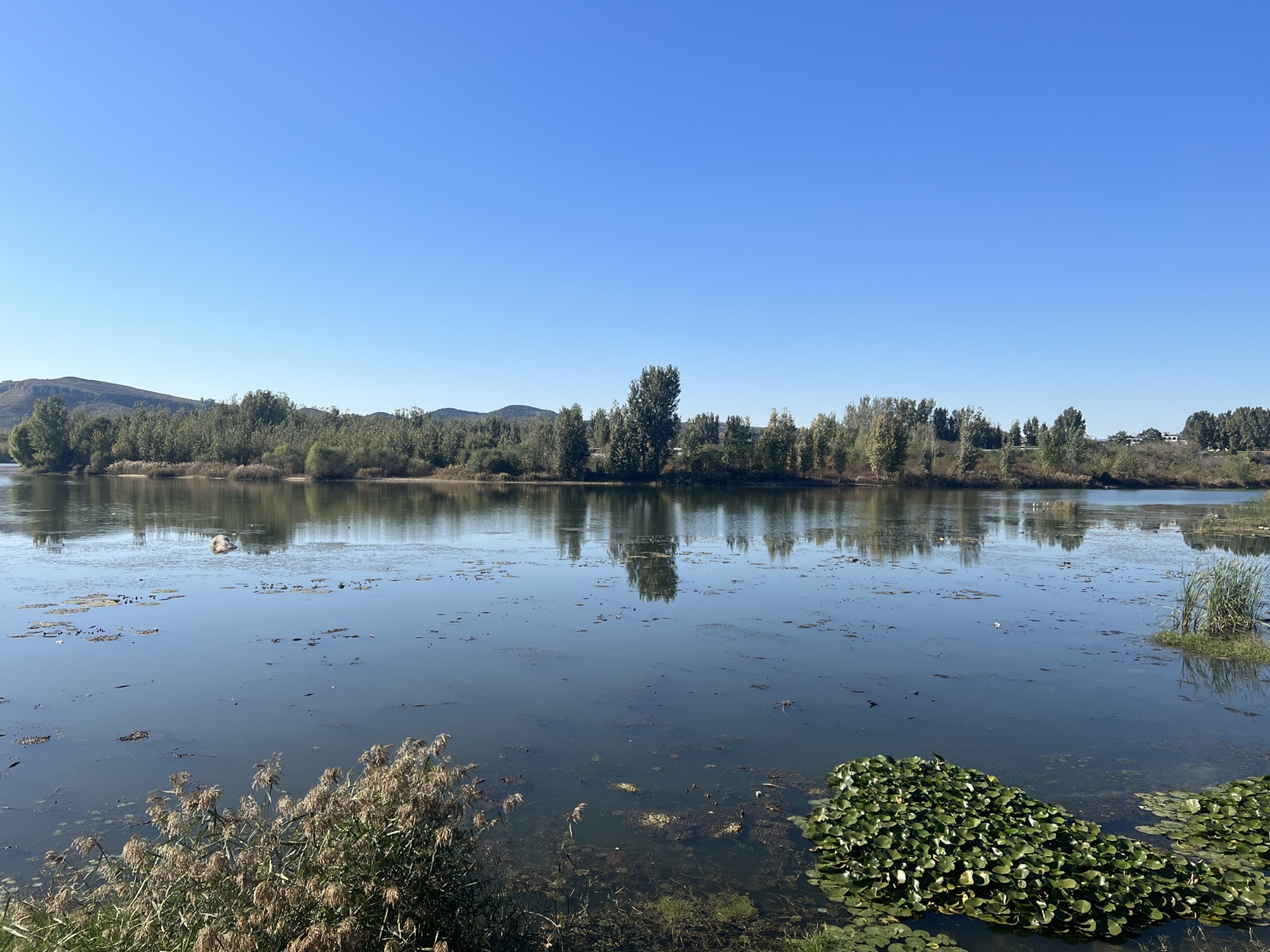 汶河国家湿地旅行图片 2