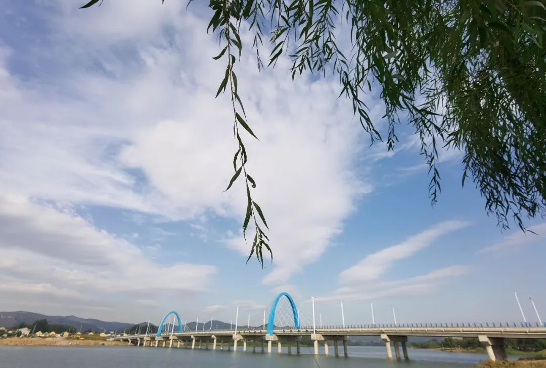 汶河国家湿地旅行图片 2
