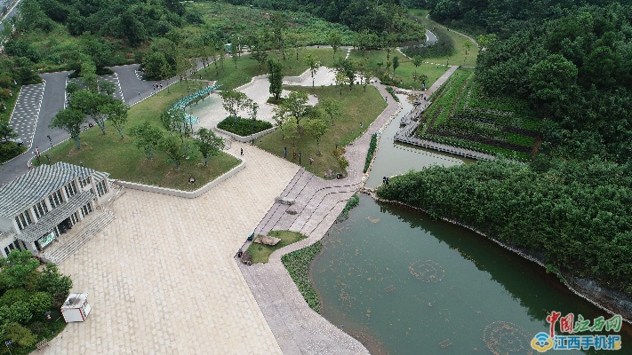 聚龙体育公园旅行图片 3