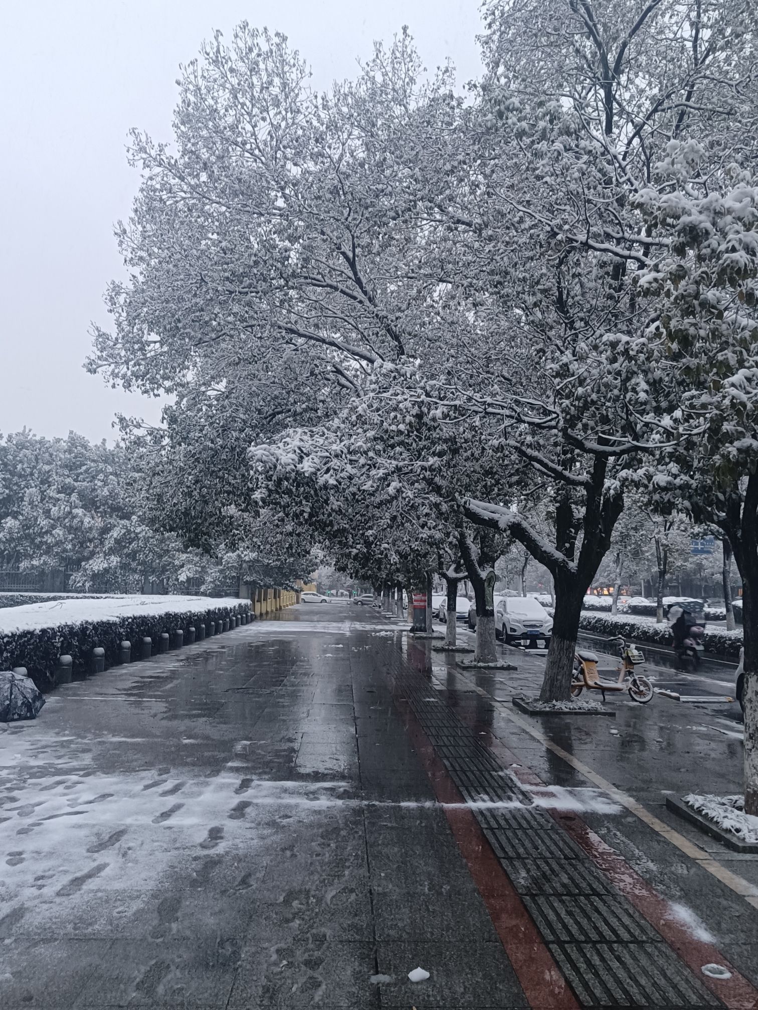 桔都文化广场旅行图片 1