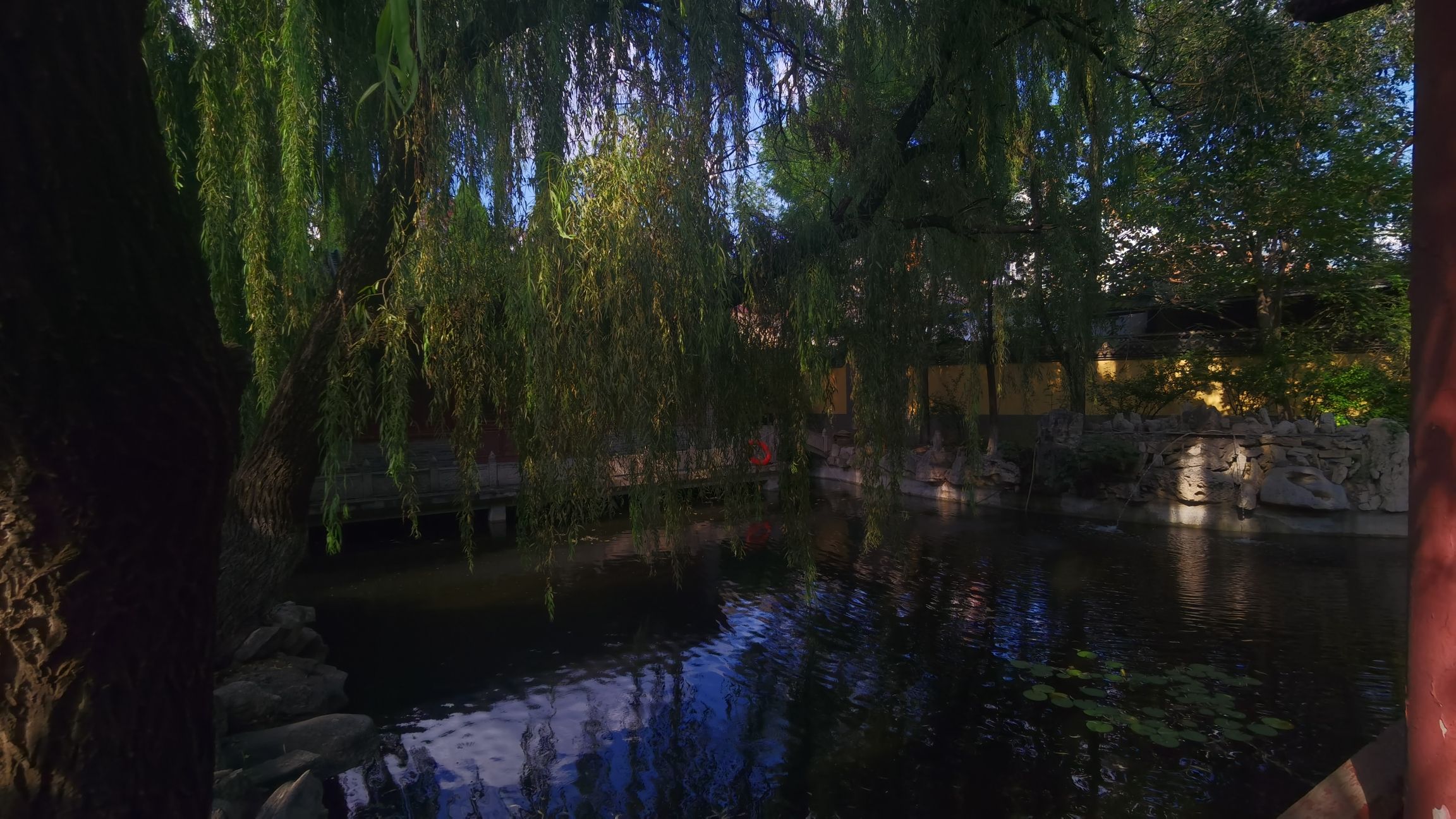 临淄区圃田园旅行图片 2