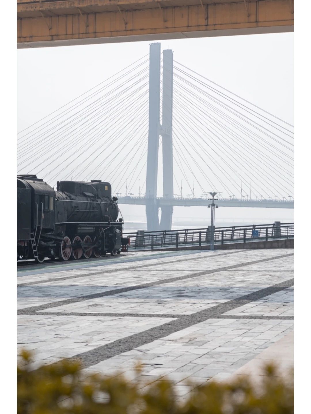凤凰洲市民公园旅行图片 3