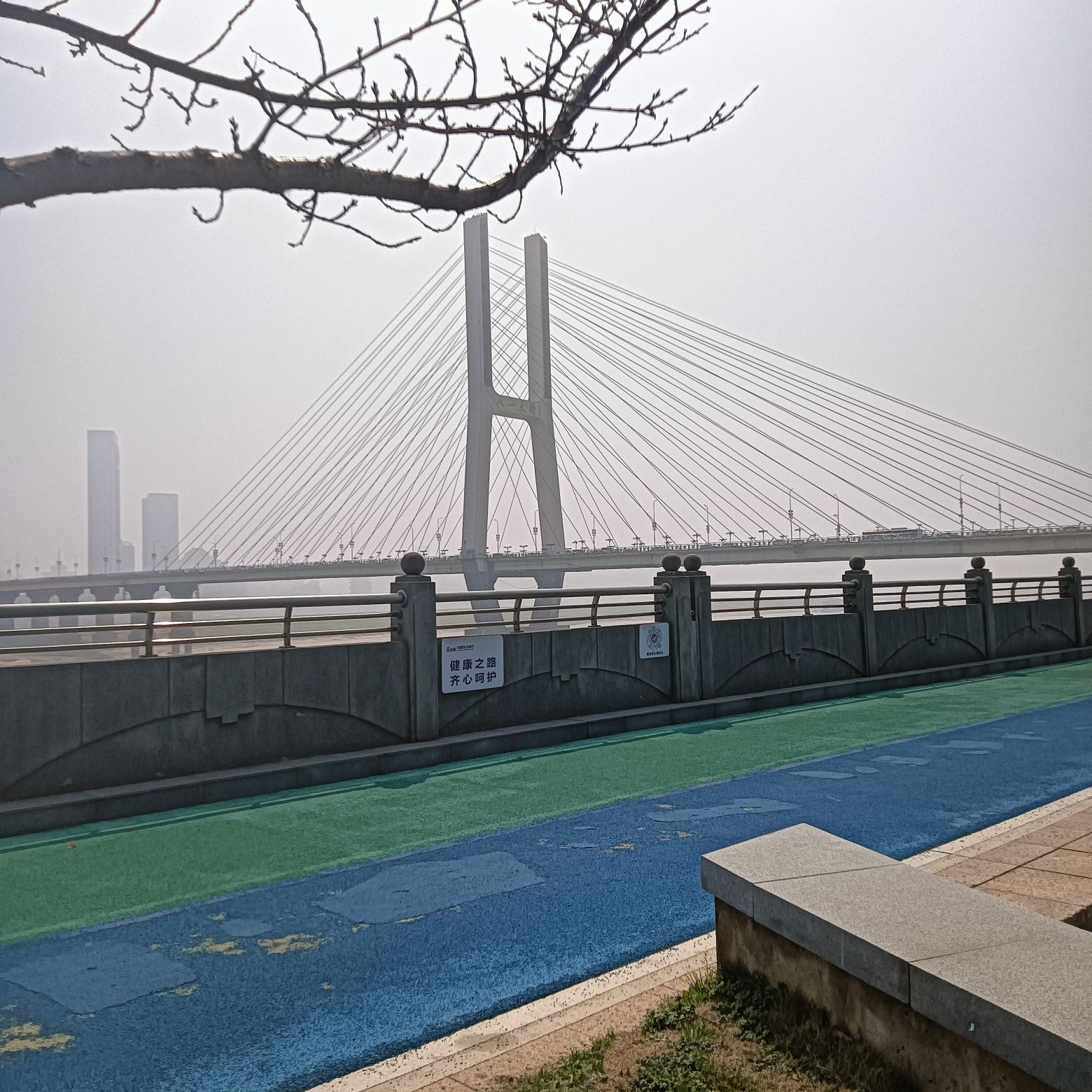 凤凰洲市民公园旅行图片 3