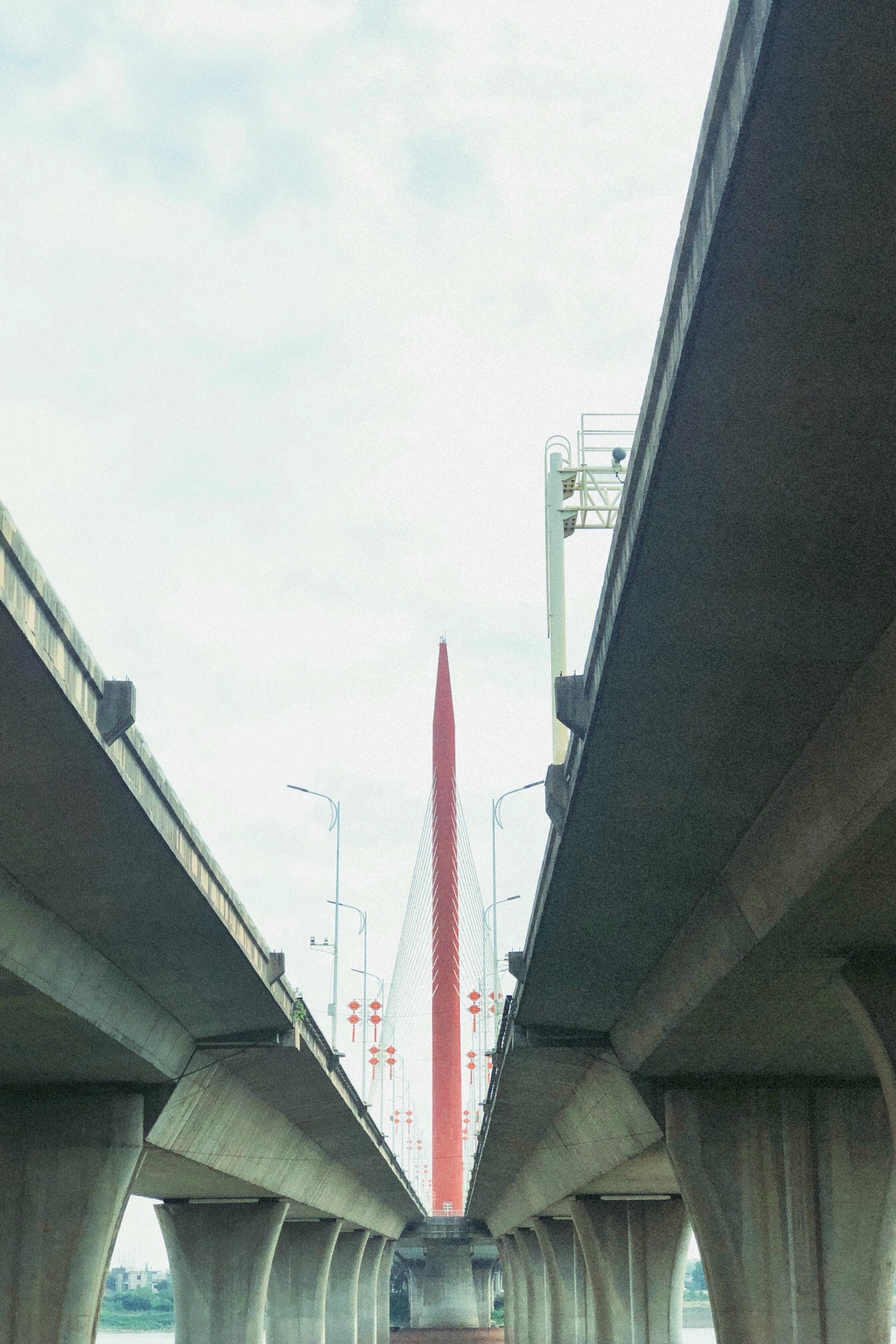 凤凰洲市民公园旅行图片 1