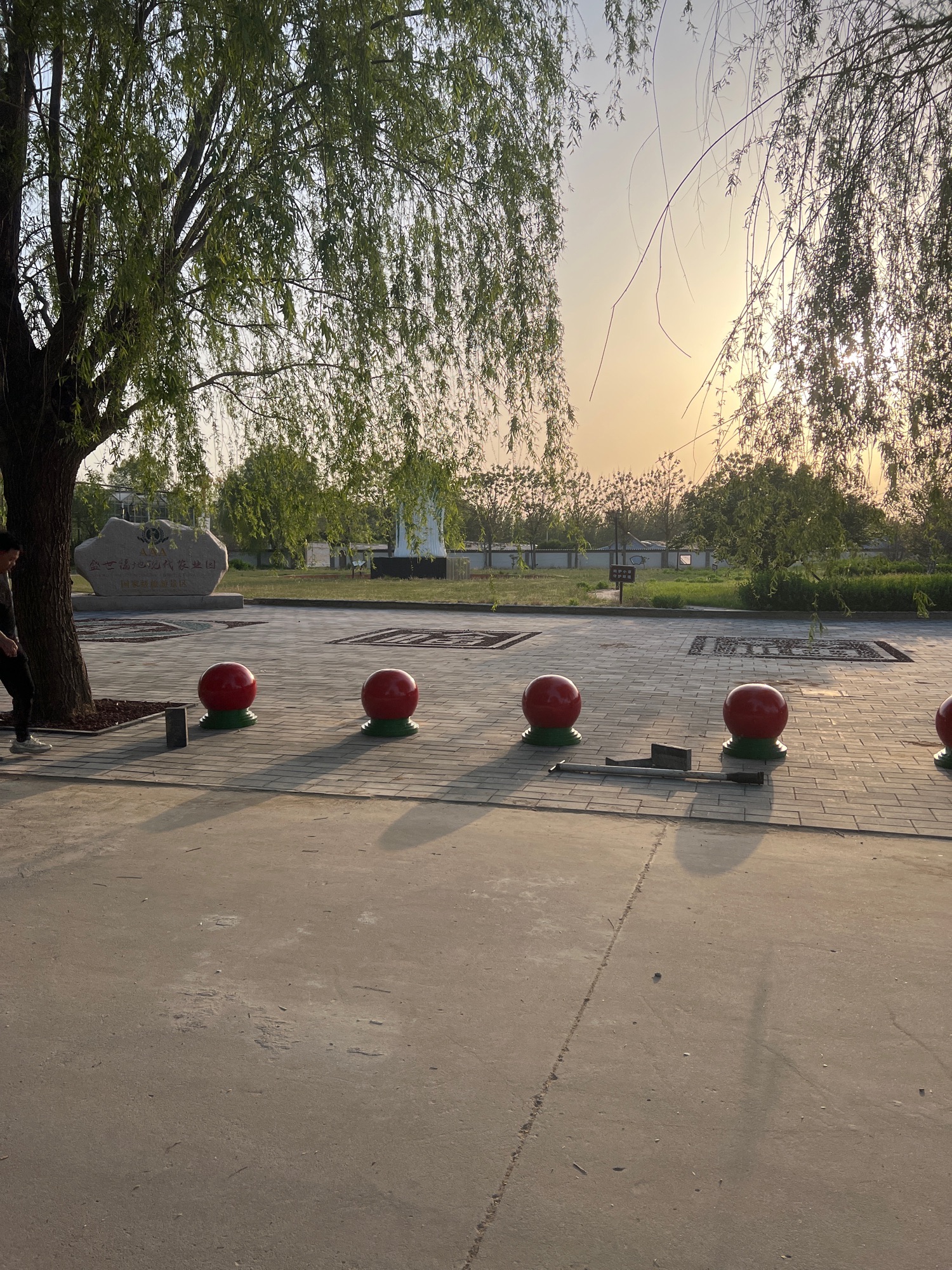 盛世福地旅行图片 1