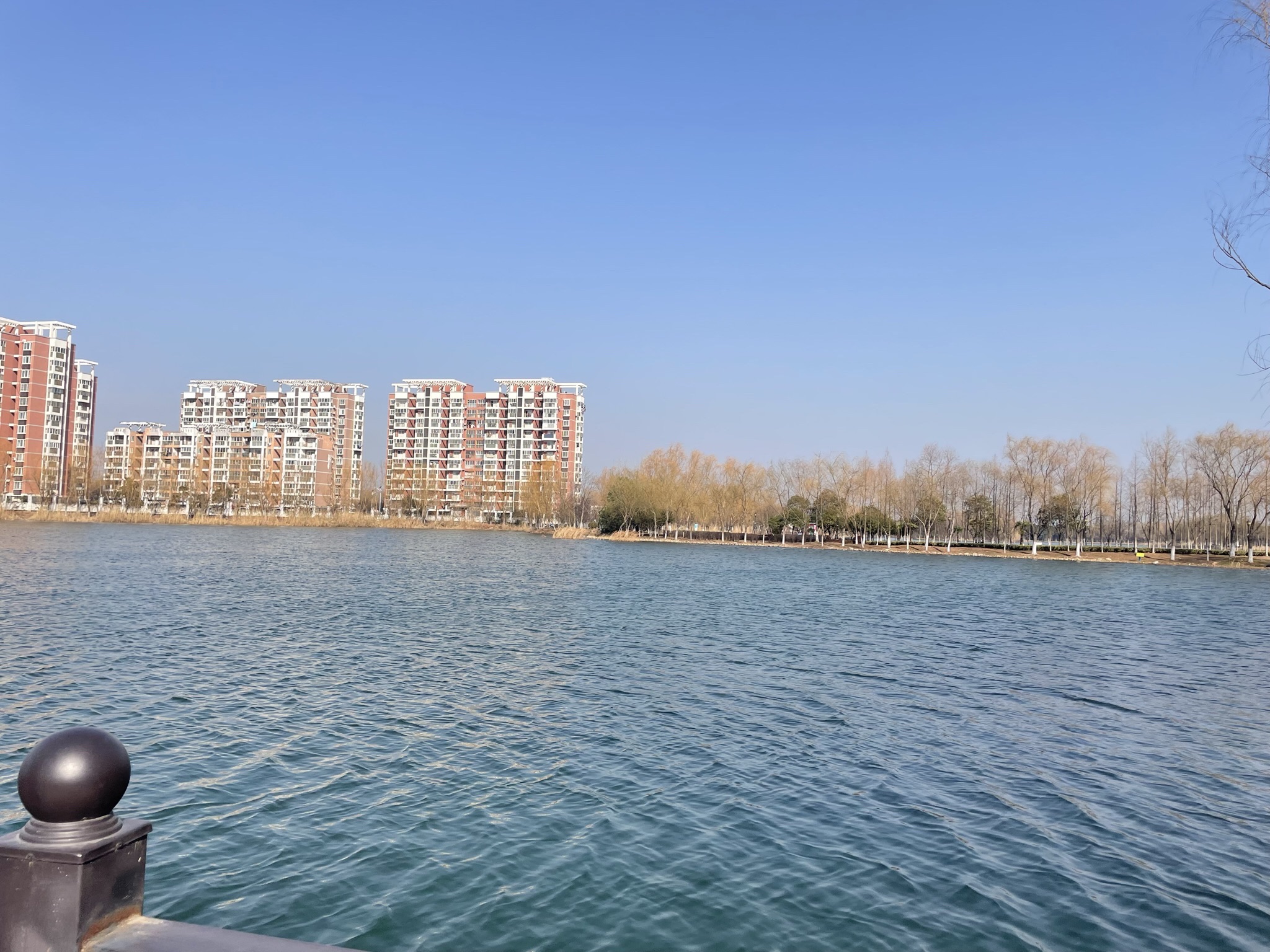 许慎文化公园旅行图片 1