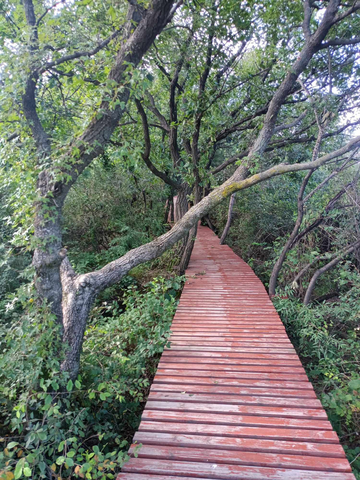 佛爷山景区旅行图片 1