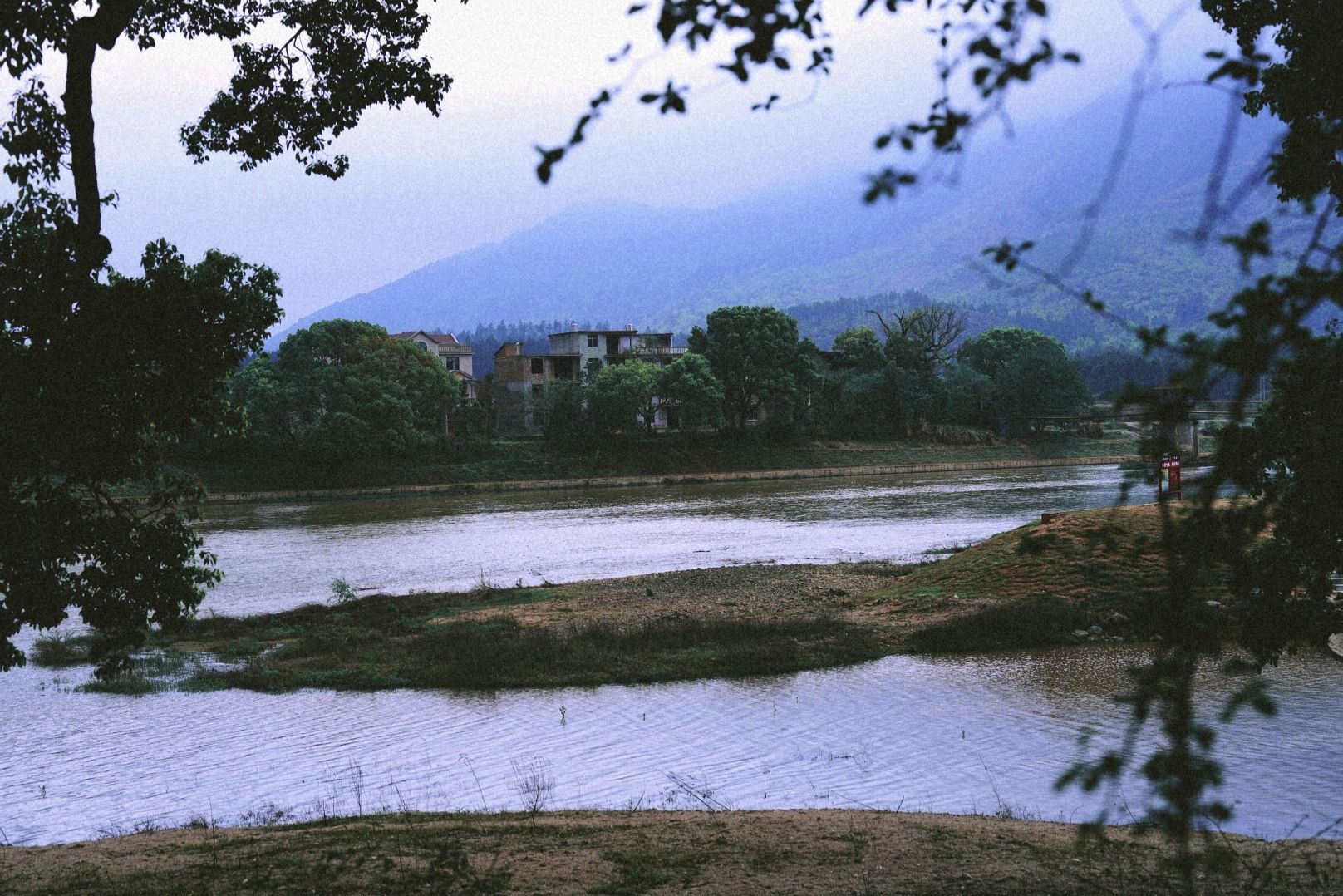 古樟林风景区旅行图片 1