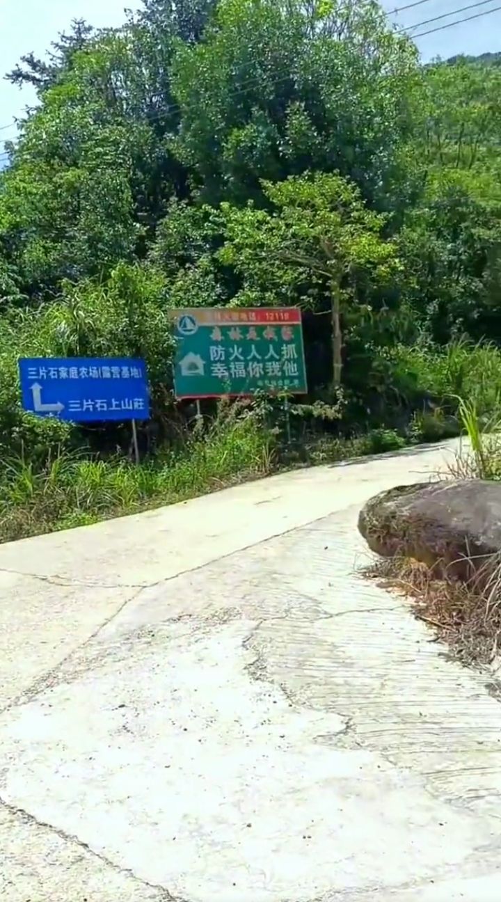 容县三片岭风景区旅行图片 1