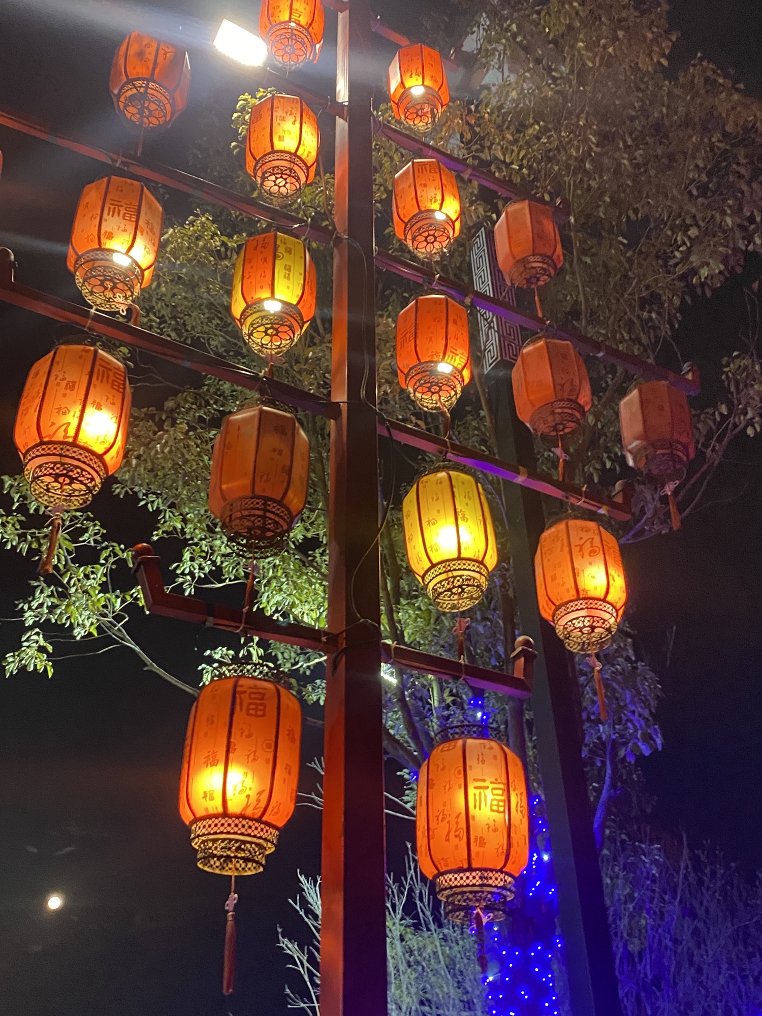 中原荷花博览园旅行图片 1