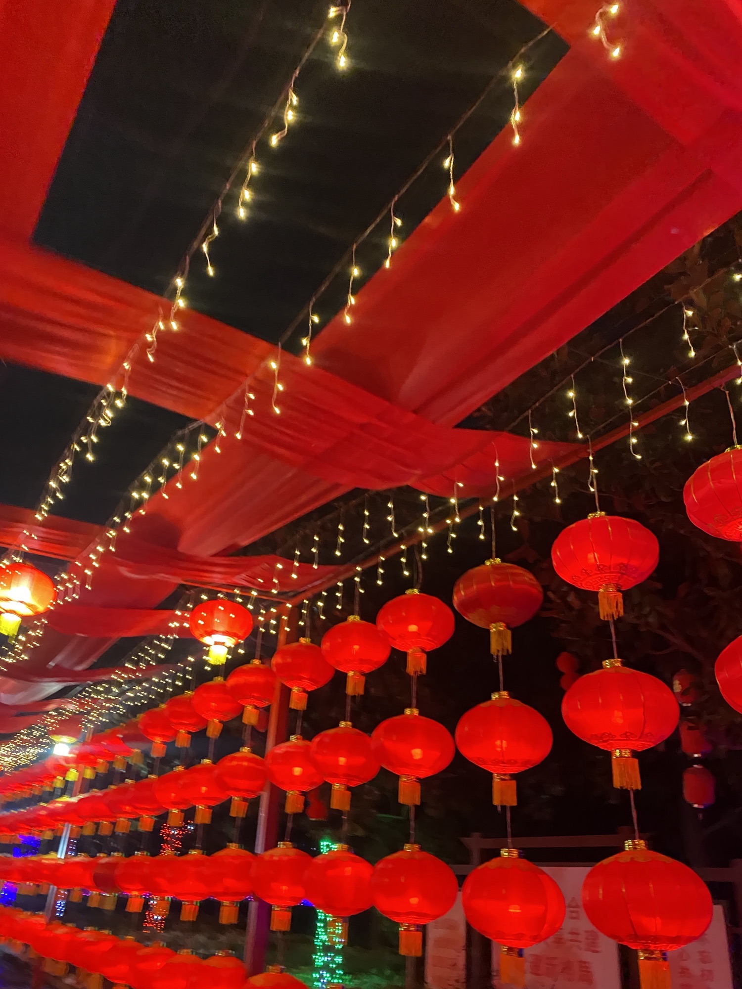 中原荷花博览园旅行图片 3