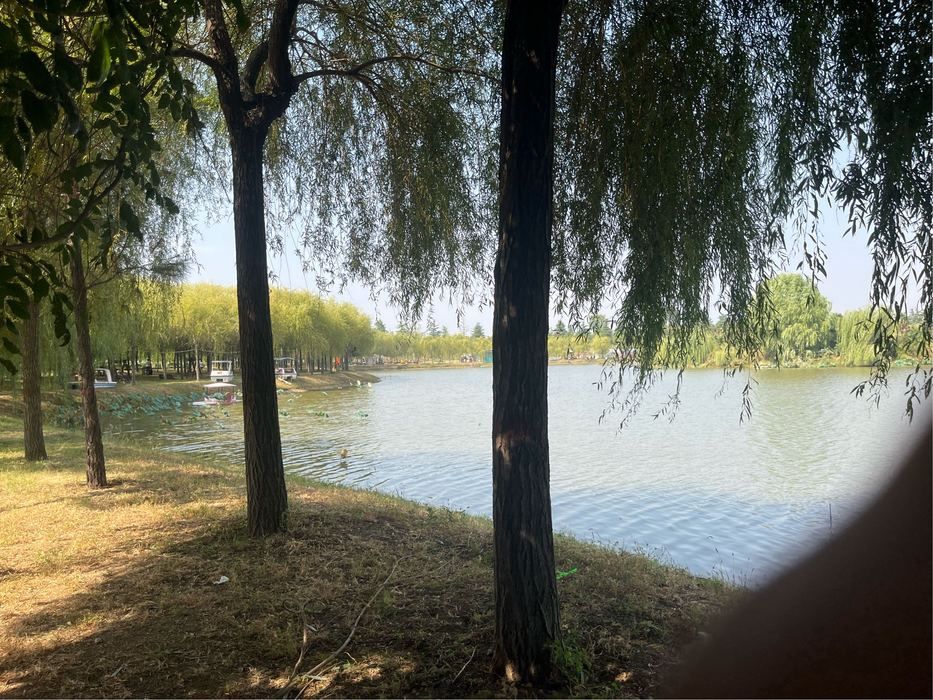 中原荷花博览园旅行图片 3