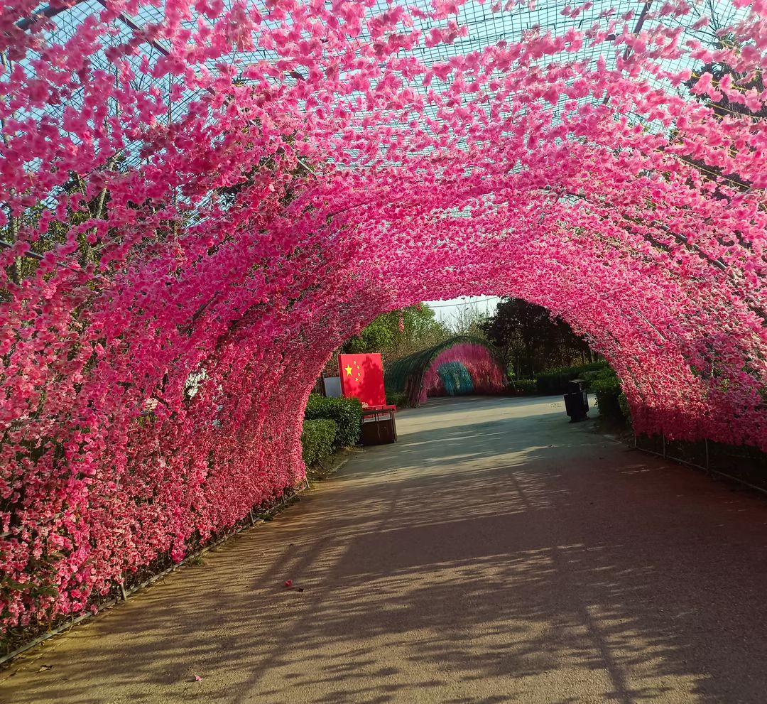 中原荷花博览园旅行图片 2